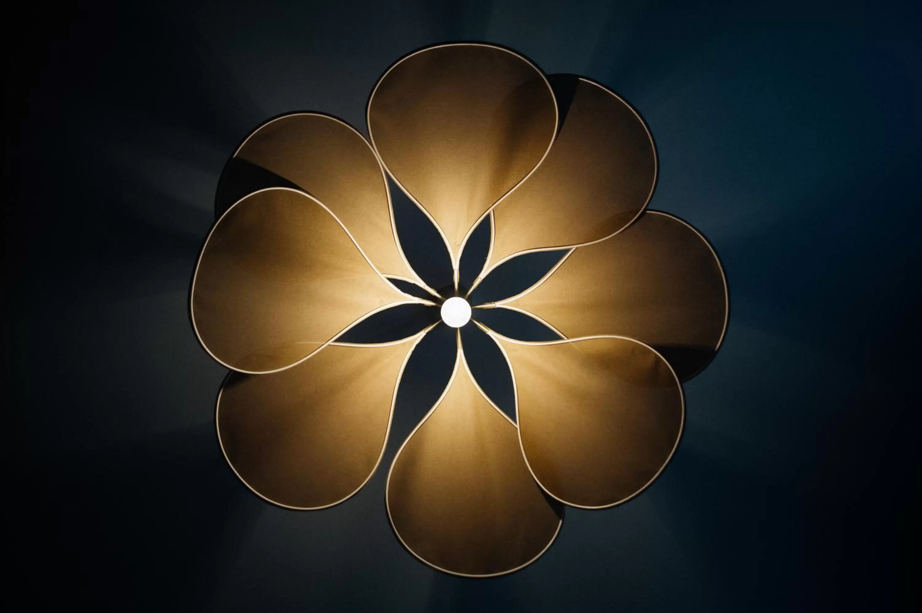 Decorative detail, Other Activities in Hotel de Fouquet - Chambres d'hôtes