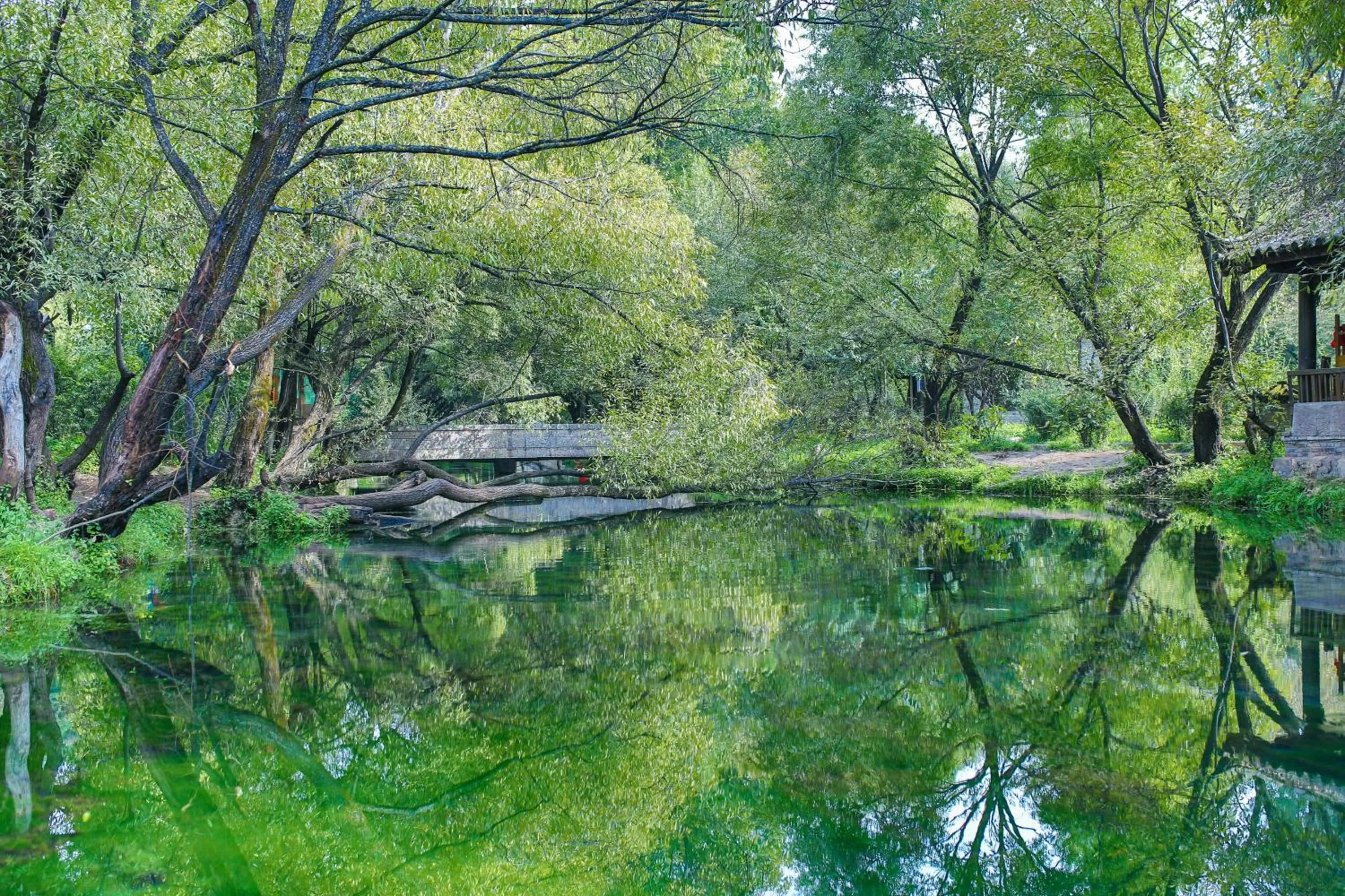 Natural landscape in Banyan Tree Lijiang