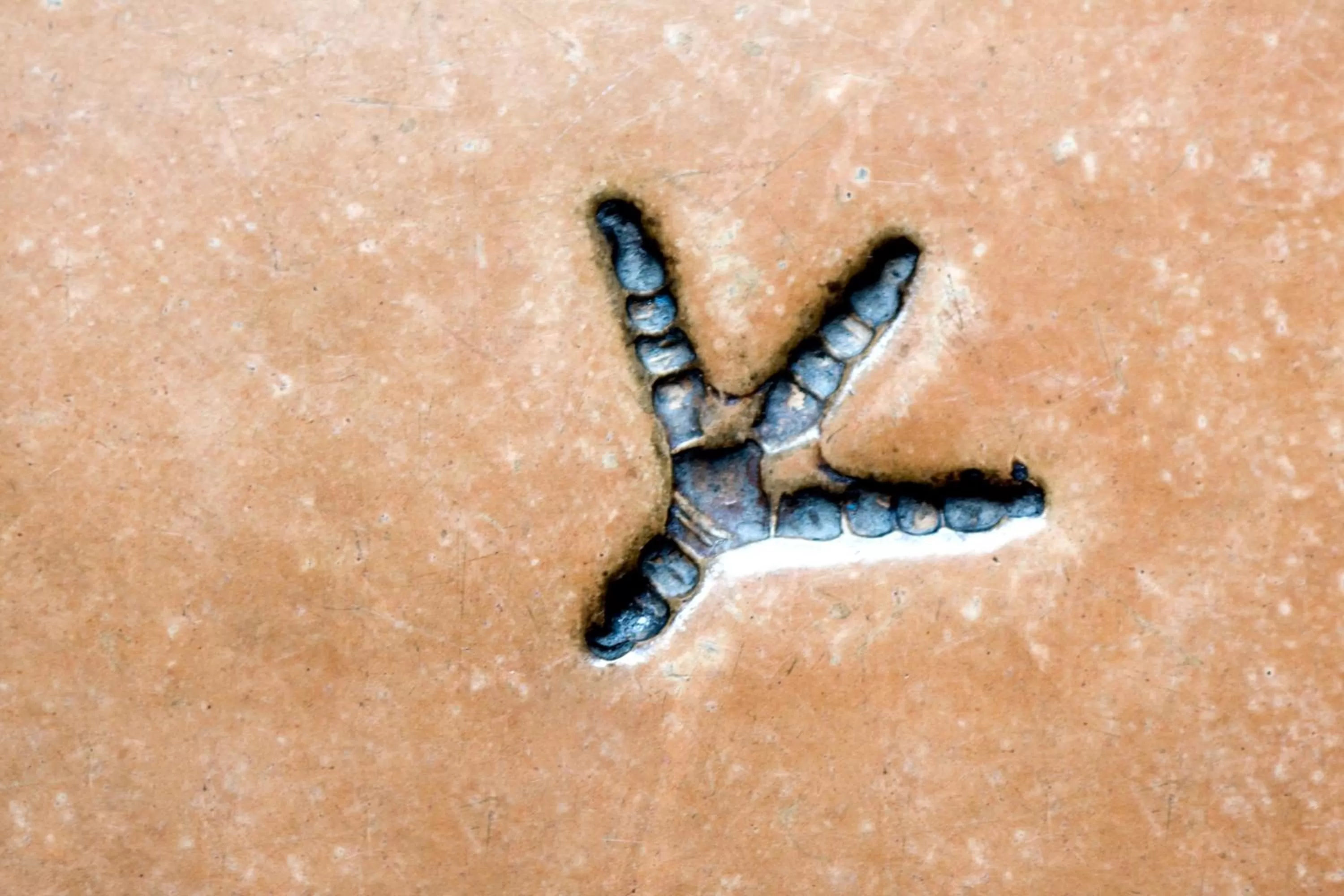 Other in Rutllan & Spa