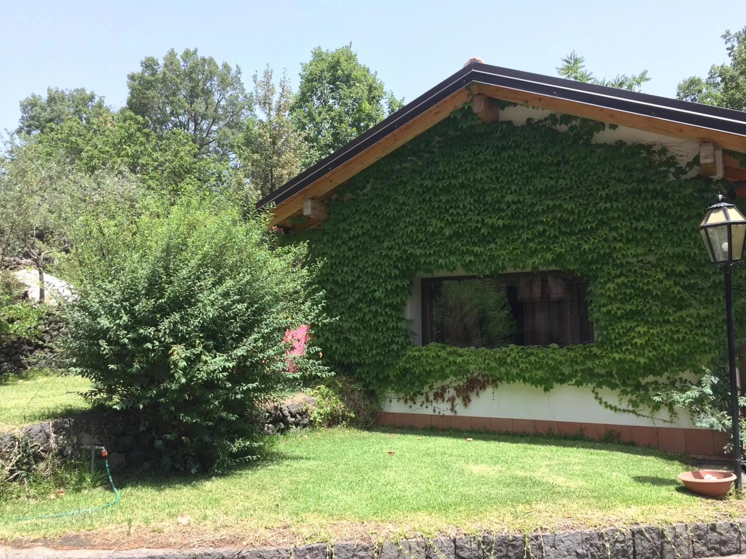 Property building in Domus Verdiana