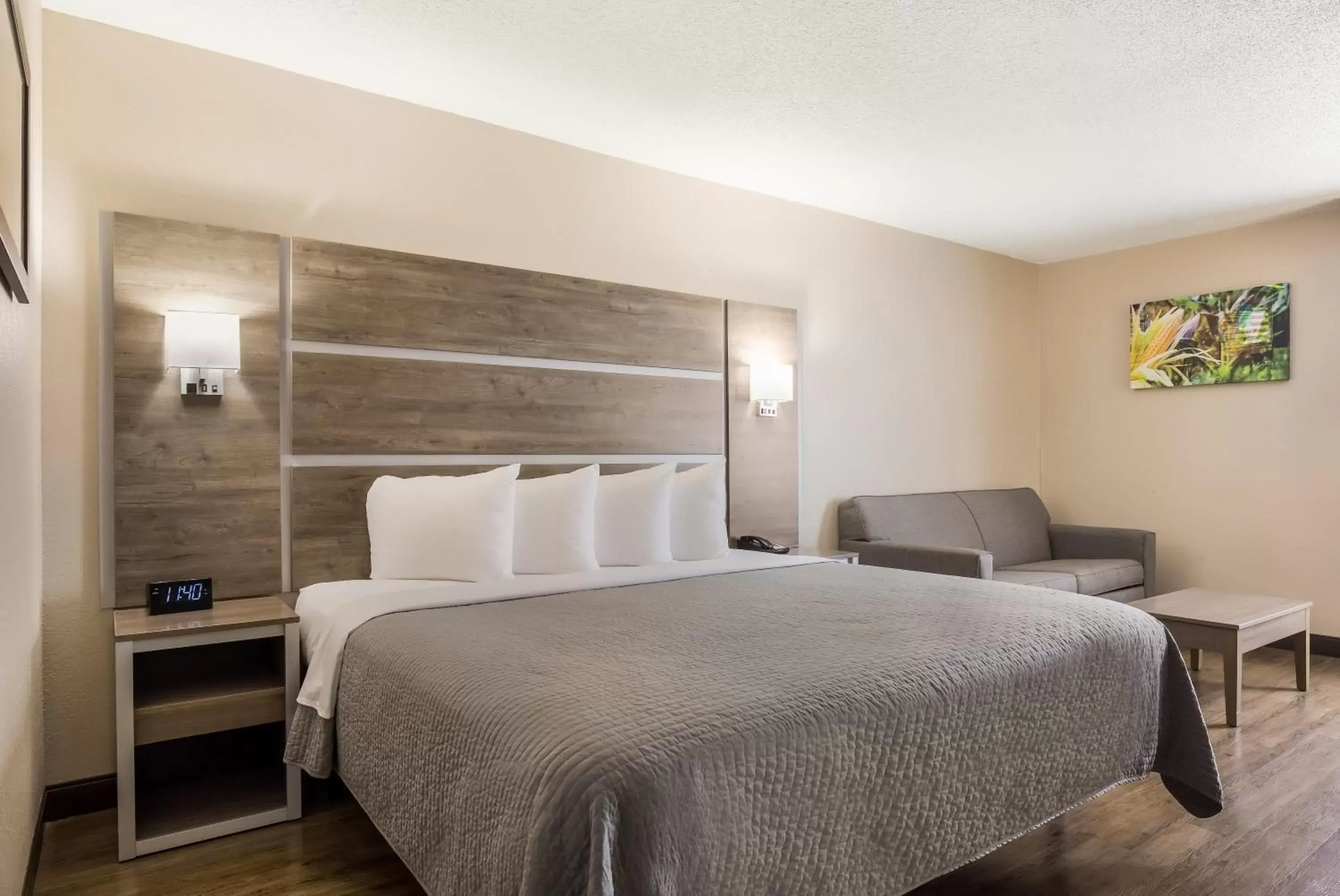 King Room - Disability Access in Hometown Inn Thomasville King Room - Disability Access in Hometown Inn Thomasville