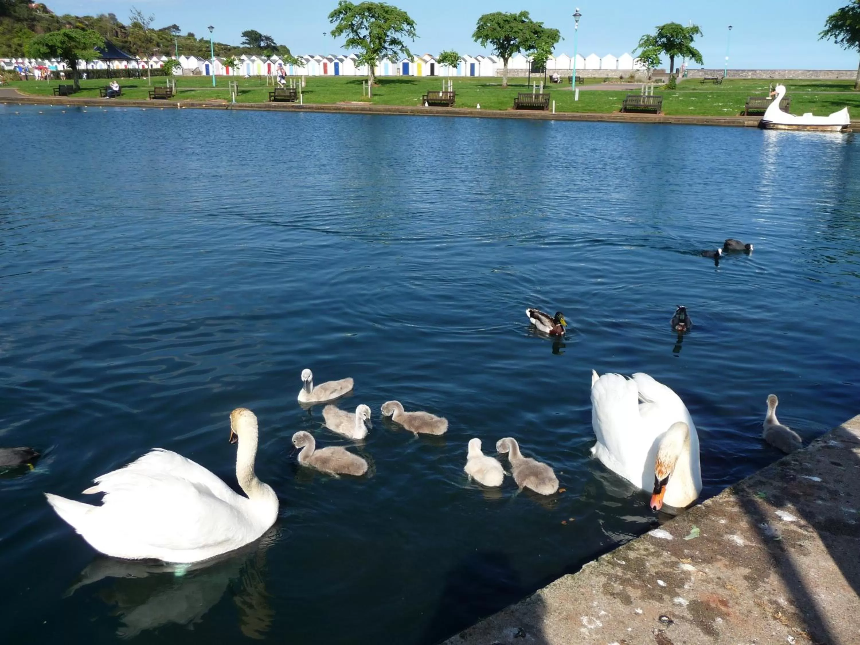 Area and facilities in The Wentworth Guest House