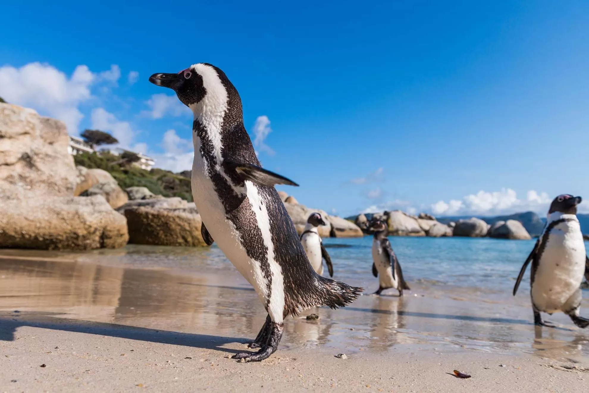 Nearby landmark in Simon's Town Quayside Hotel