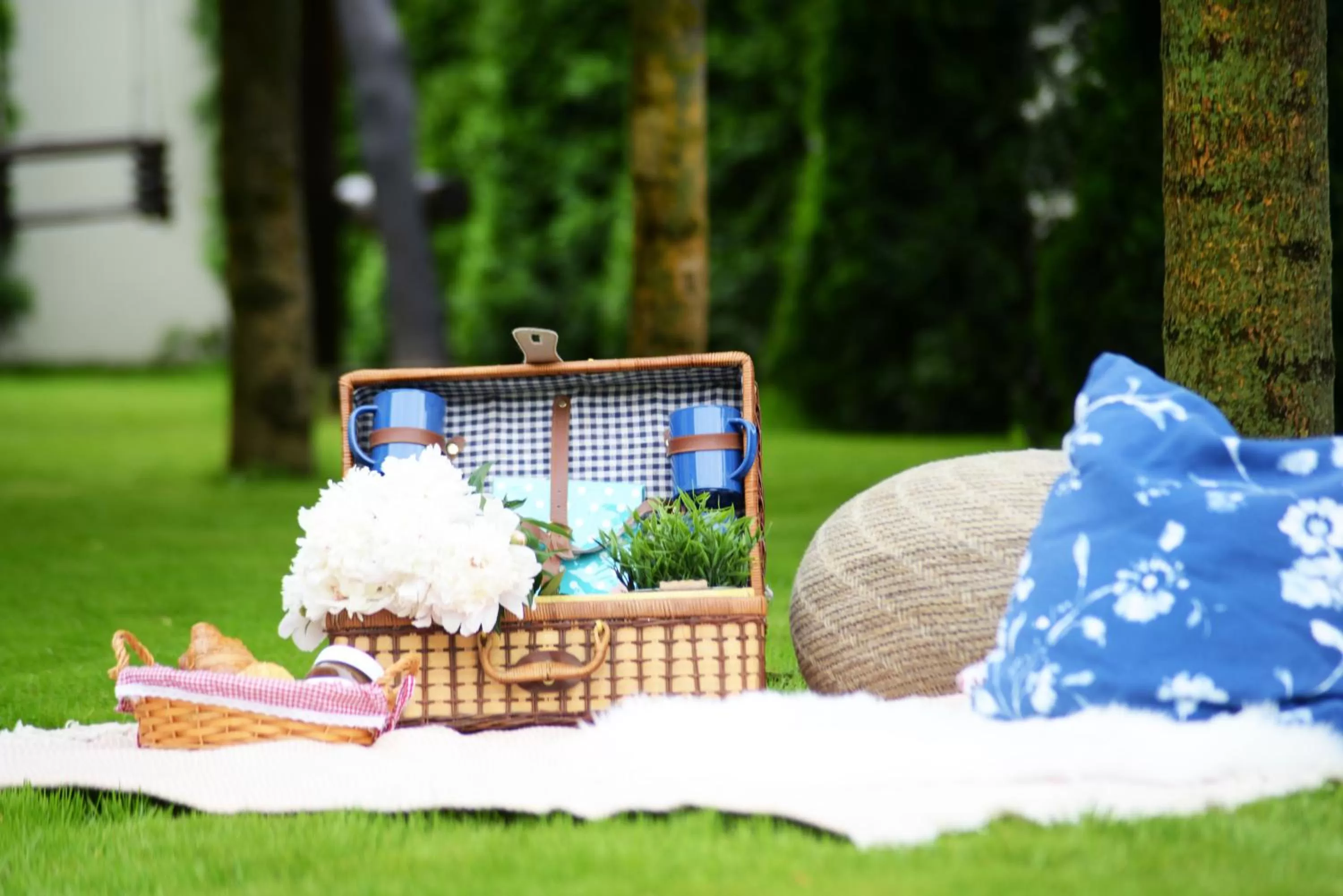 Garden in Amfora Panzió