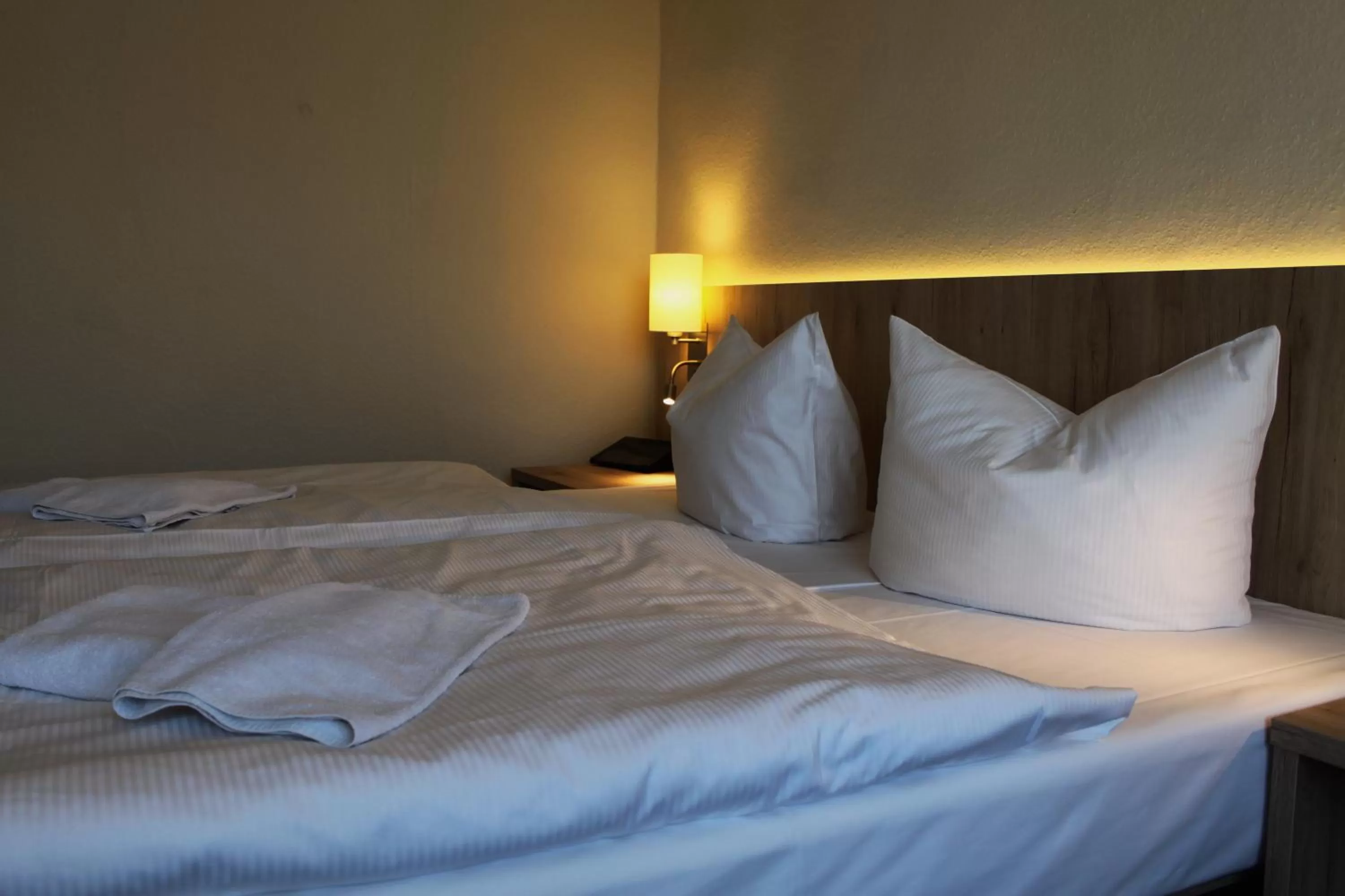 Photo of the whole room, Bed in Hotel Villa Elisabeth