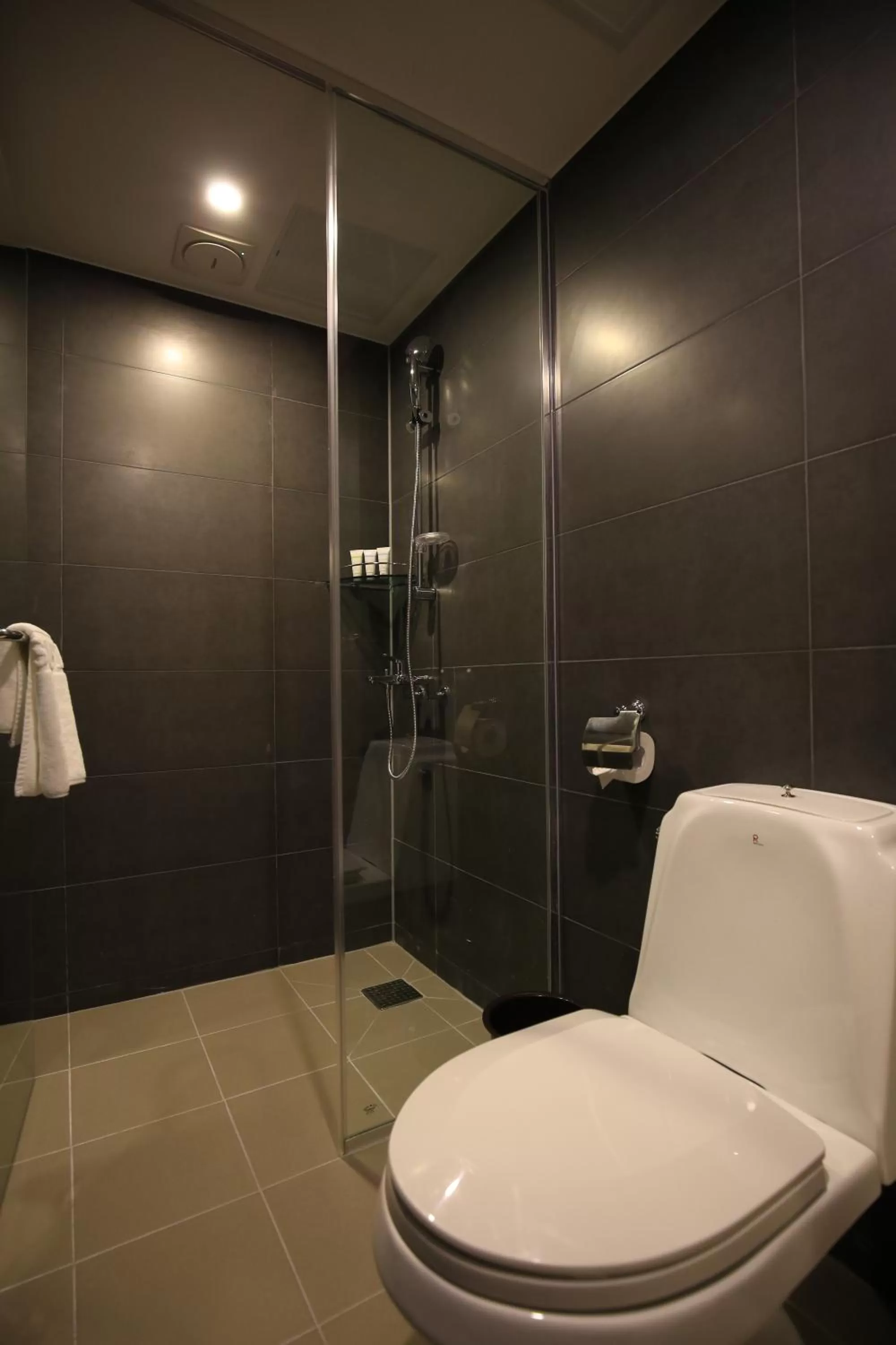 Shower in Best Western Jeju Hotel