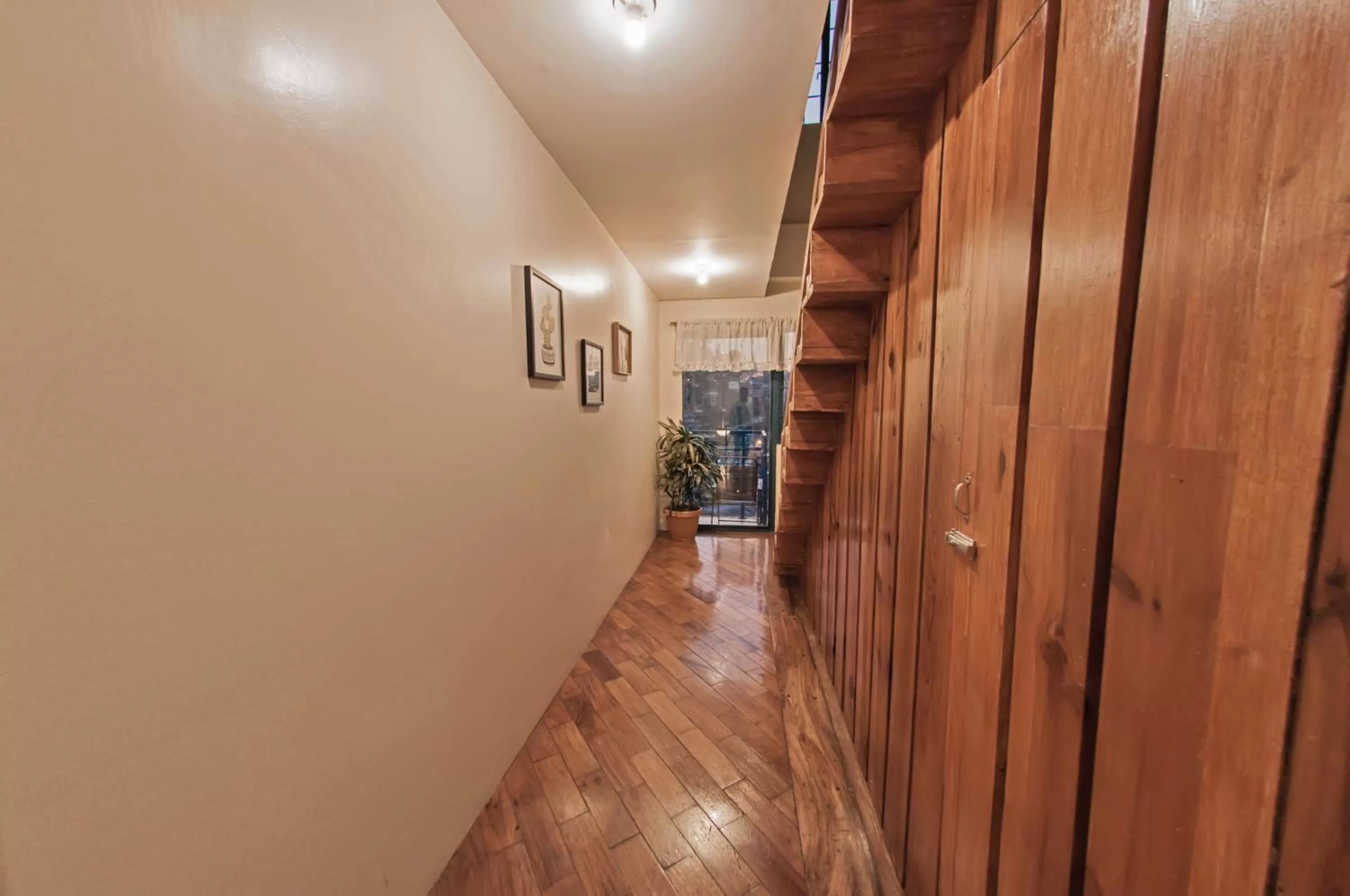 The Half House by Elmar Cabin