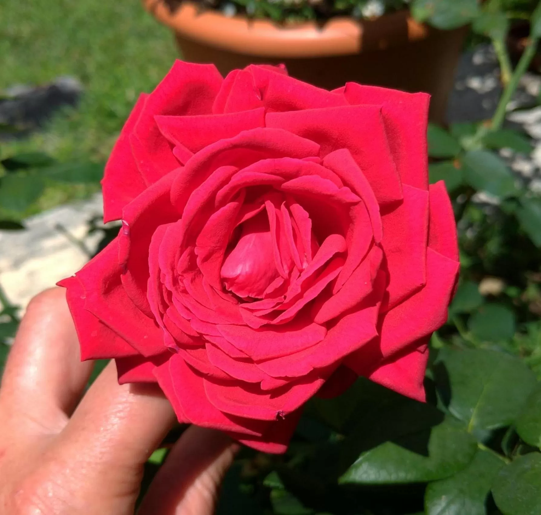 Property building in Gemma Di Gallura Charme B&B