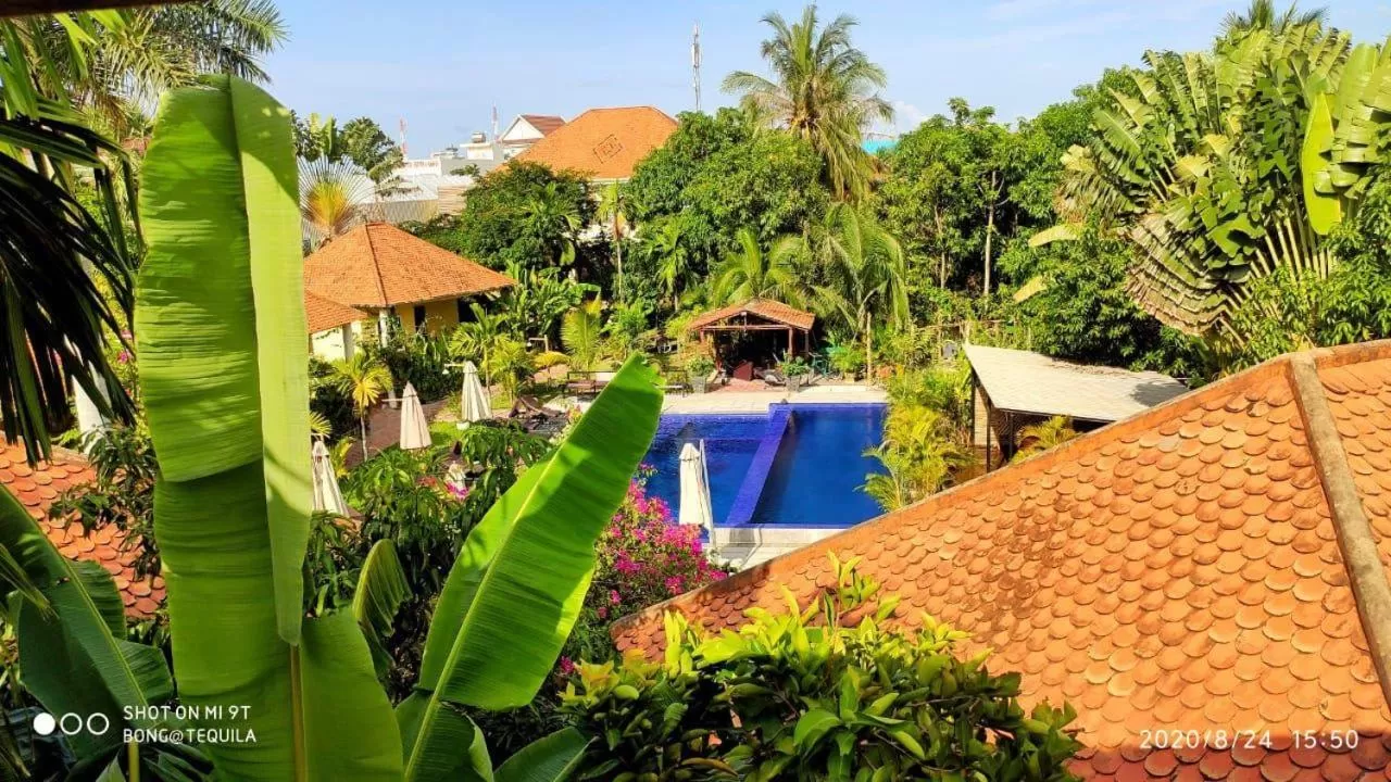 Bird's eye view in Au Cabaret Vert