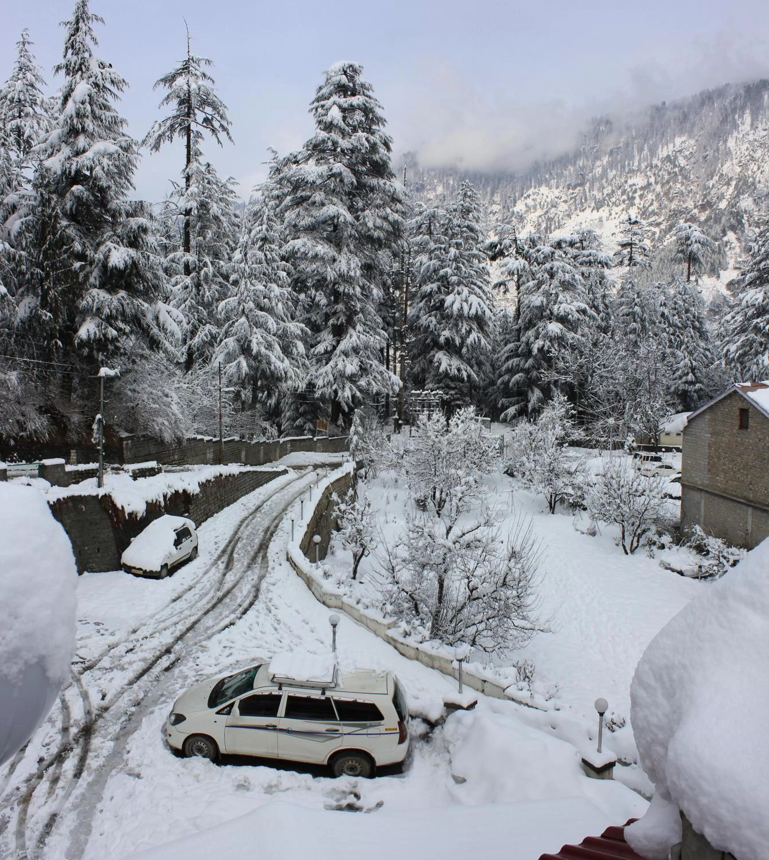 Winter in The Orchard Greens