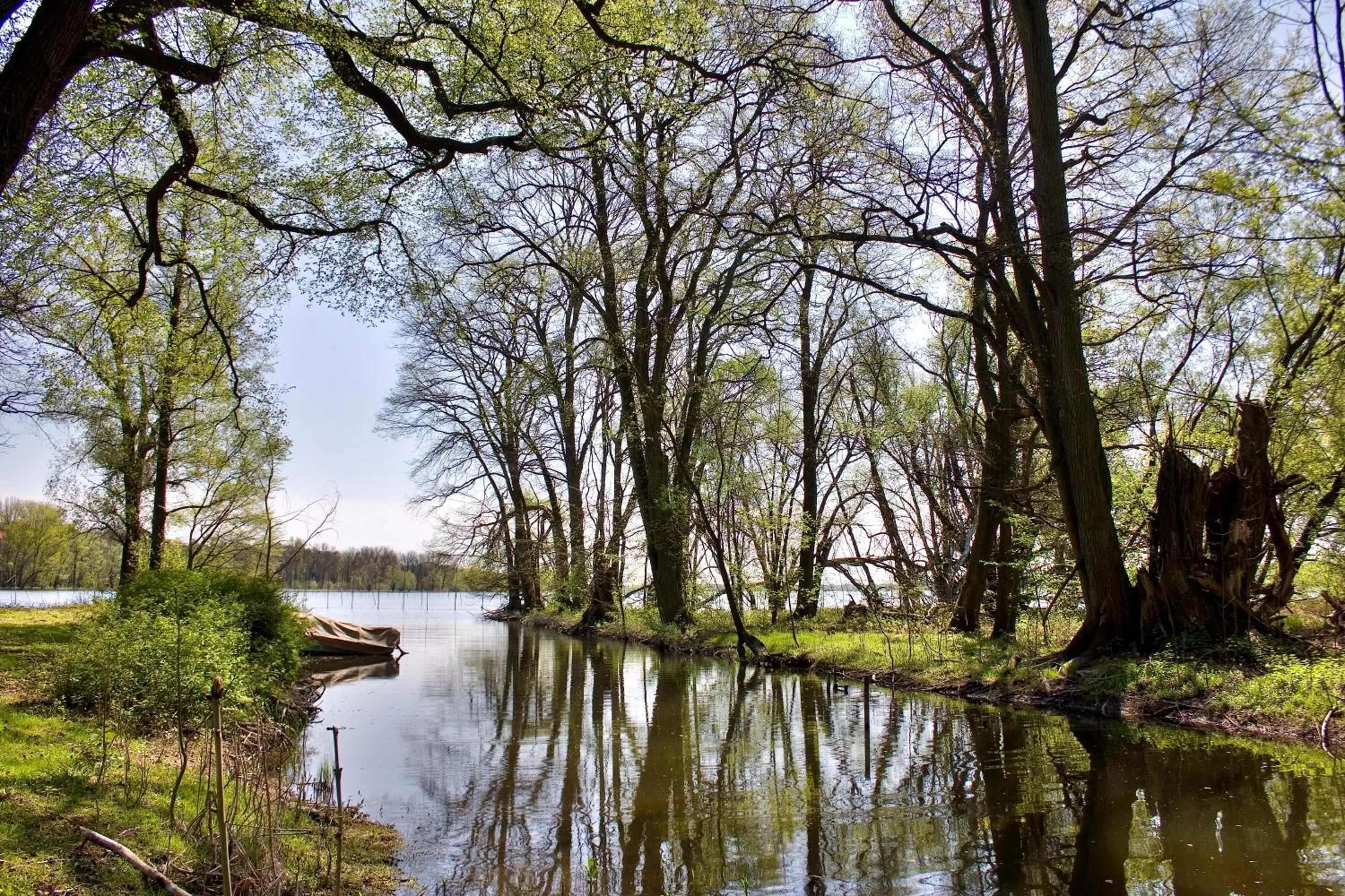 Garden in Gästehaus Schloss Plaue