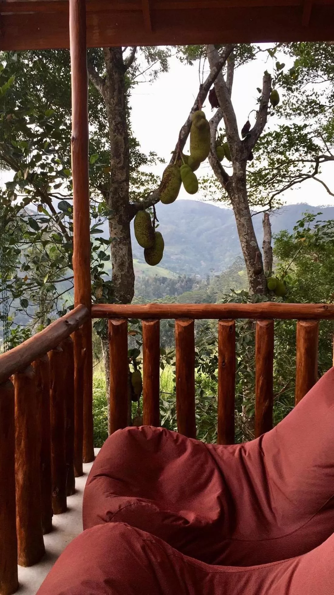 Property building in Saffron Eco Cottage