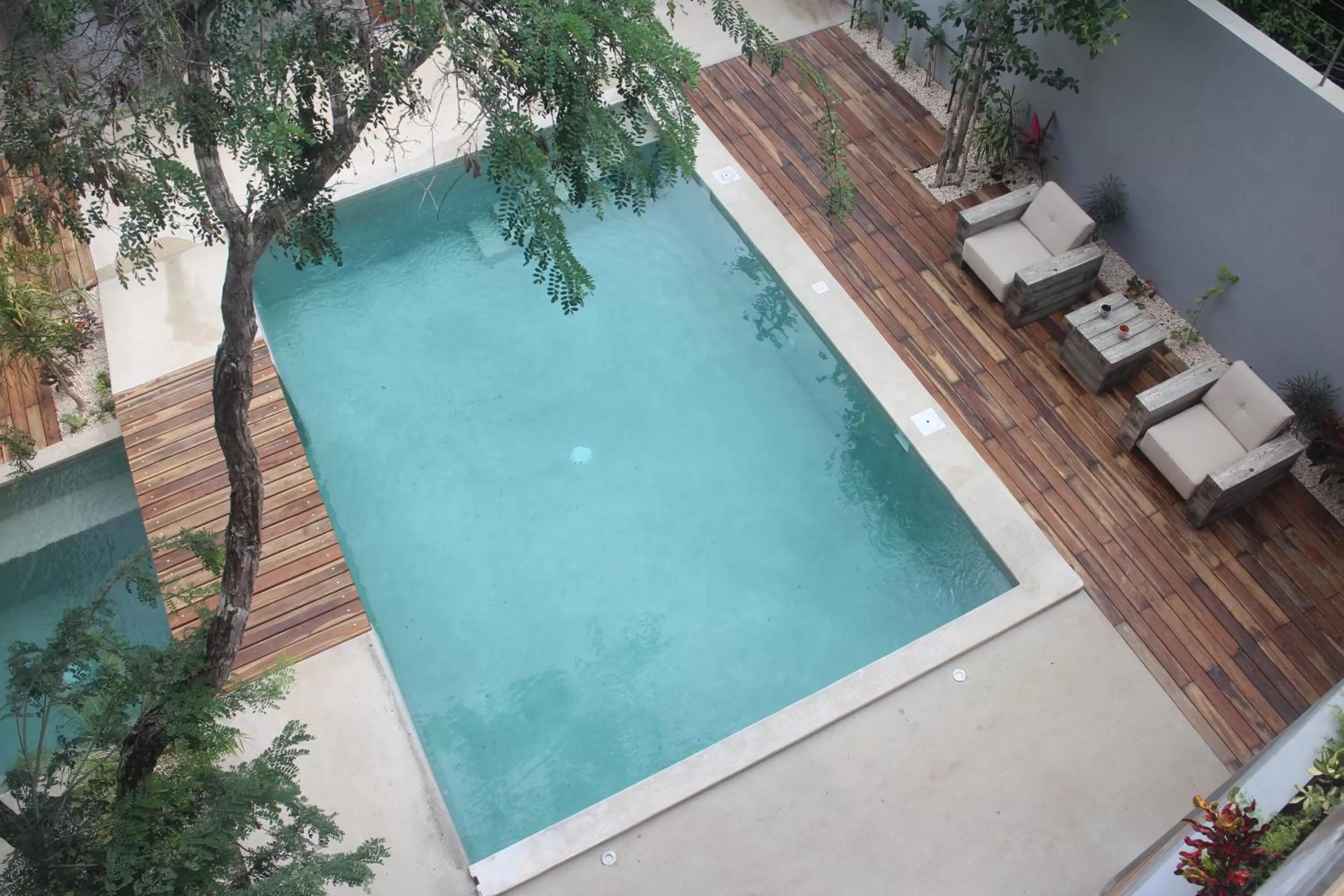 Garden in Little Gem Hotel Tulum La Veleta