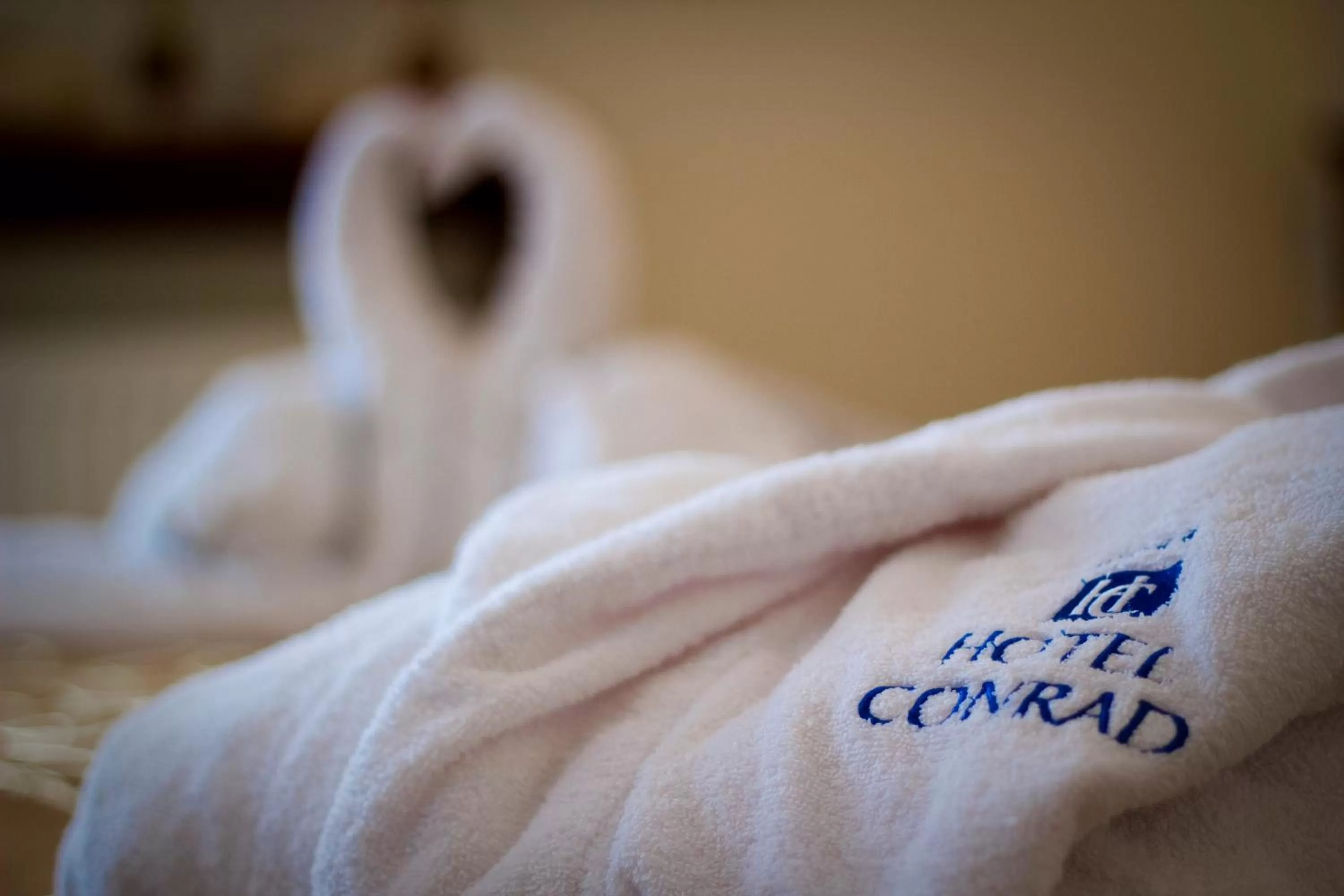 Other in Hotel Great Polonia Conrad Kraków