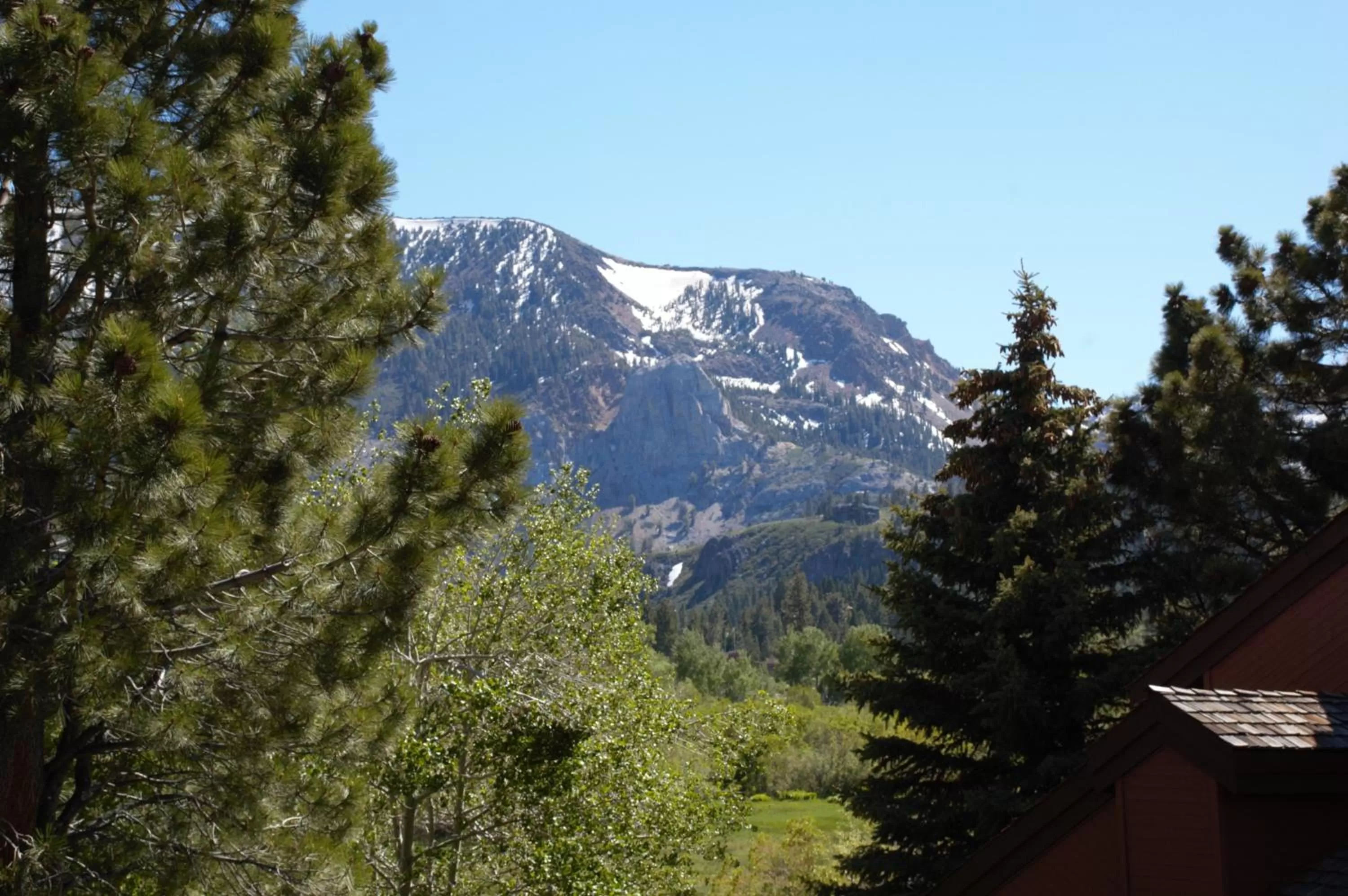 View (from property/room) in Snowcreek Resort Vacation Rentals