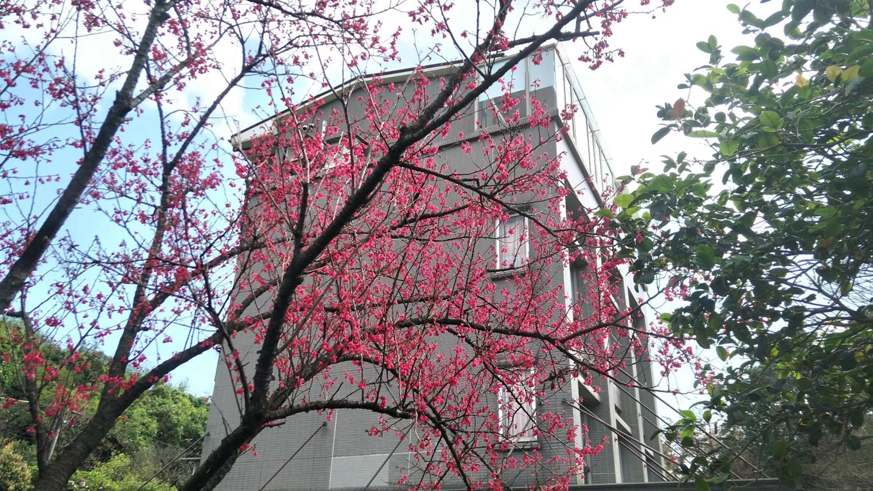 Property Building in Rainbow Bridge B&B