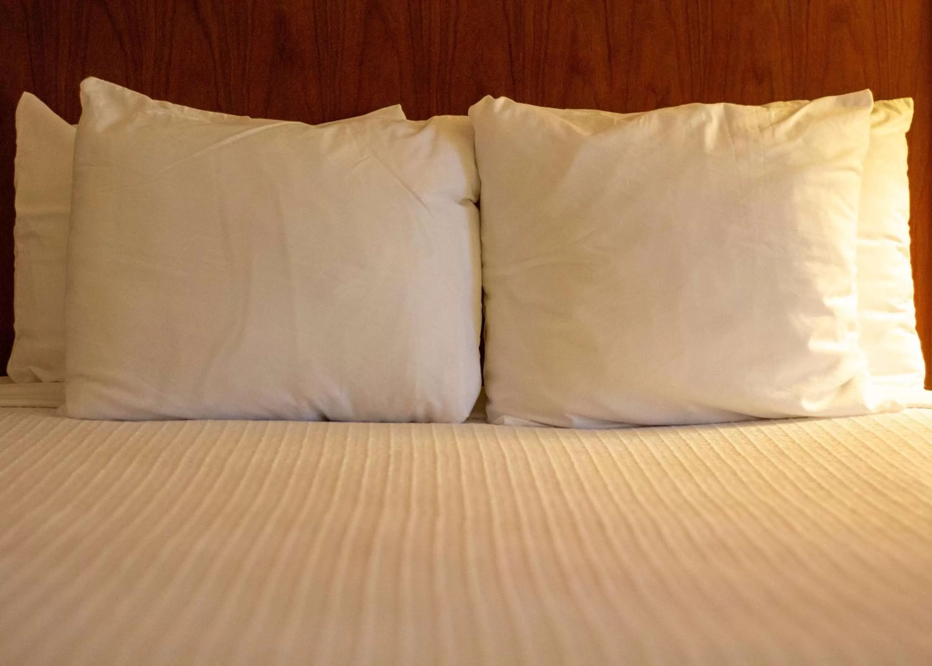 Queen Suite - Non-Smoking in Best Western Plus A Wayfarer's Inn & Suites