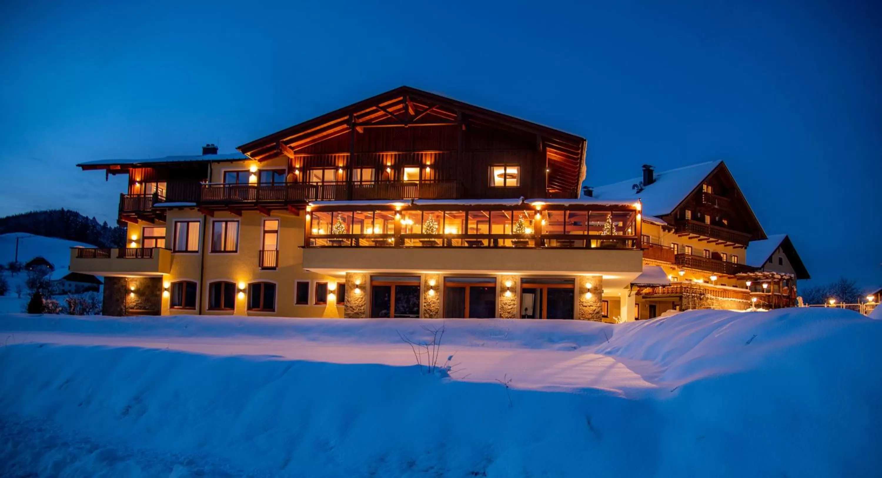 Winter in Panorama Hotel Gasthof Leidingerhof