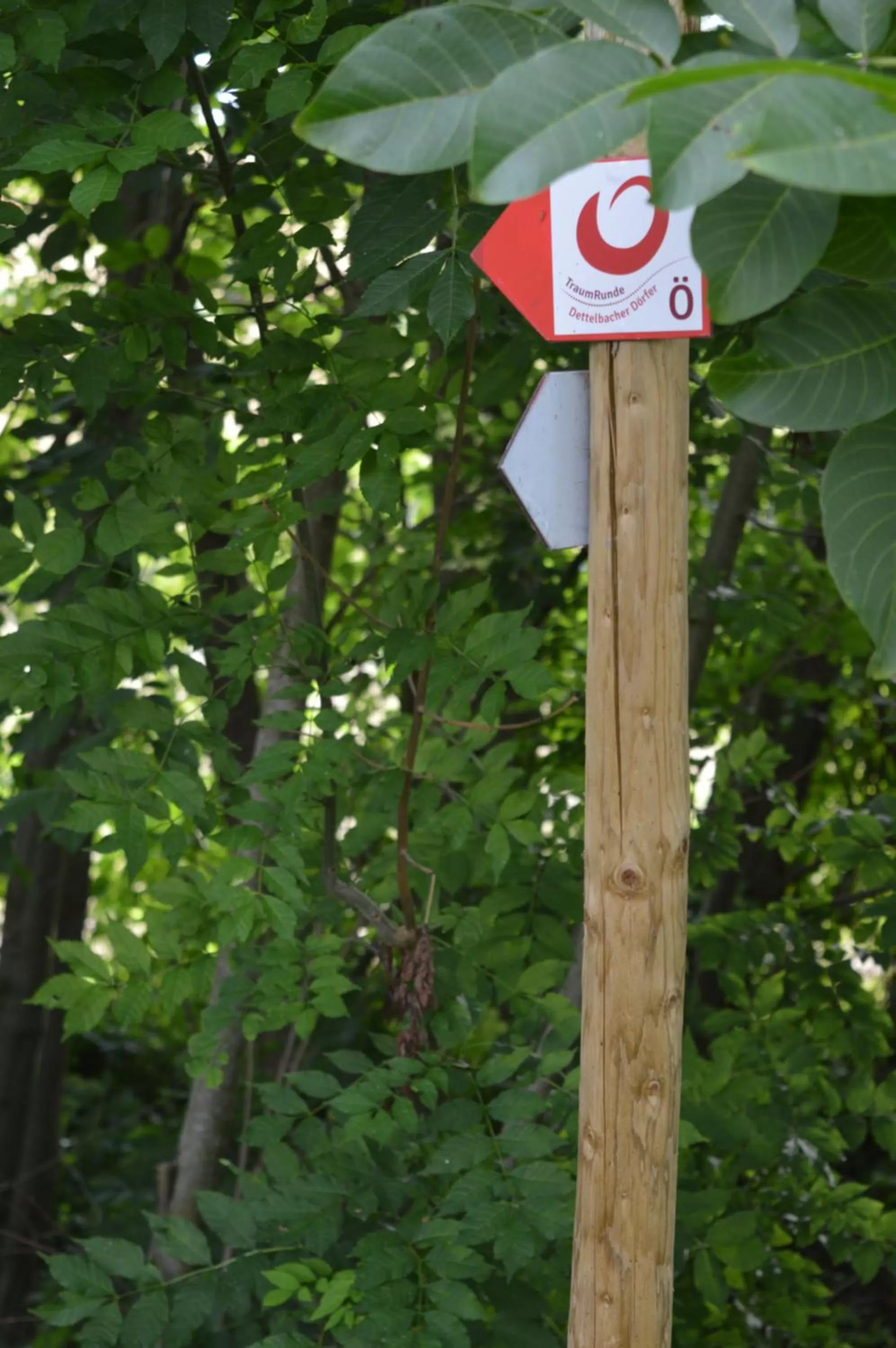 Natural landscape in Aparthotel Alte Schmiede Dettelbach