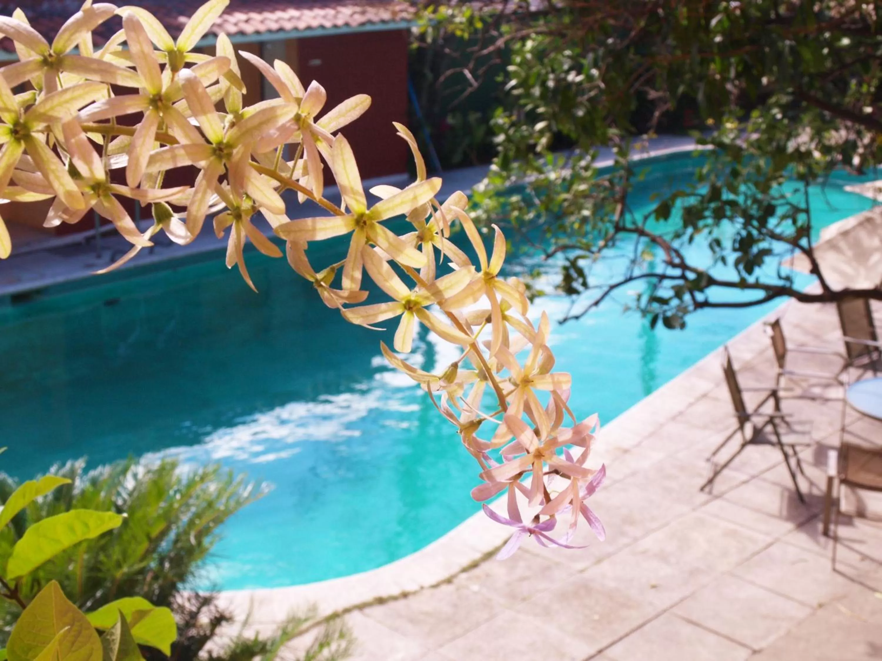 Hotel Mediterraneo Plaza