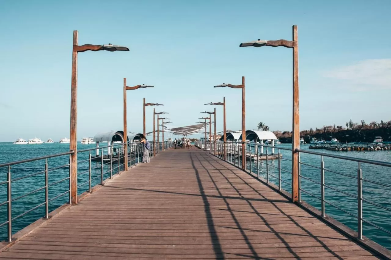 Sea view in Hotel Las Ninfas