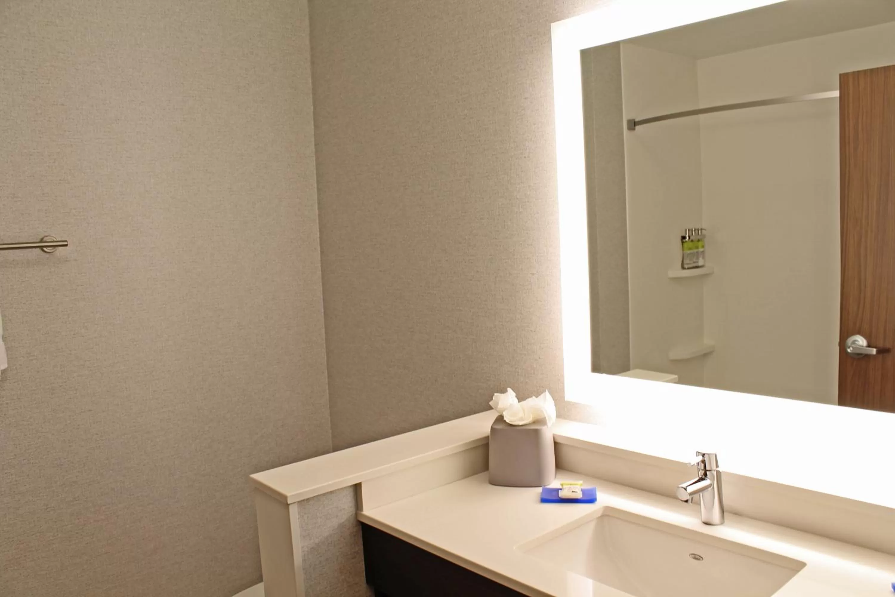 Bathroom in Holiday Inn Express & Suites - St. Louis South - I-55 by IHG