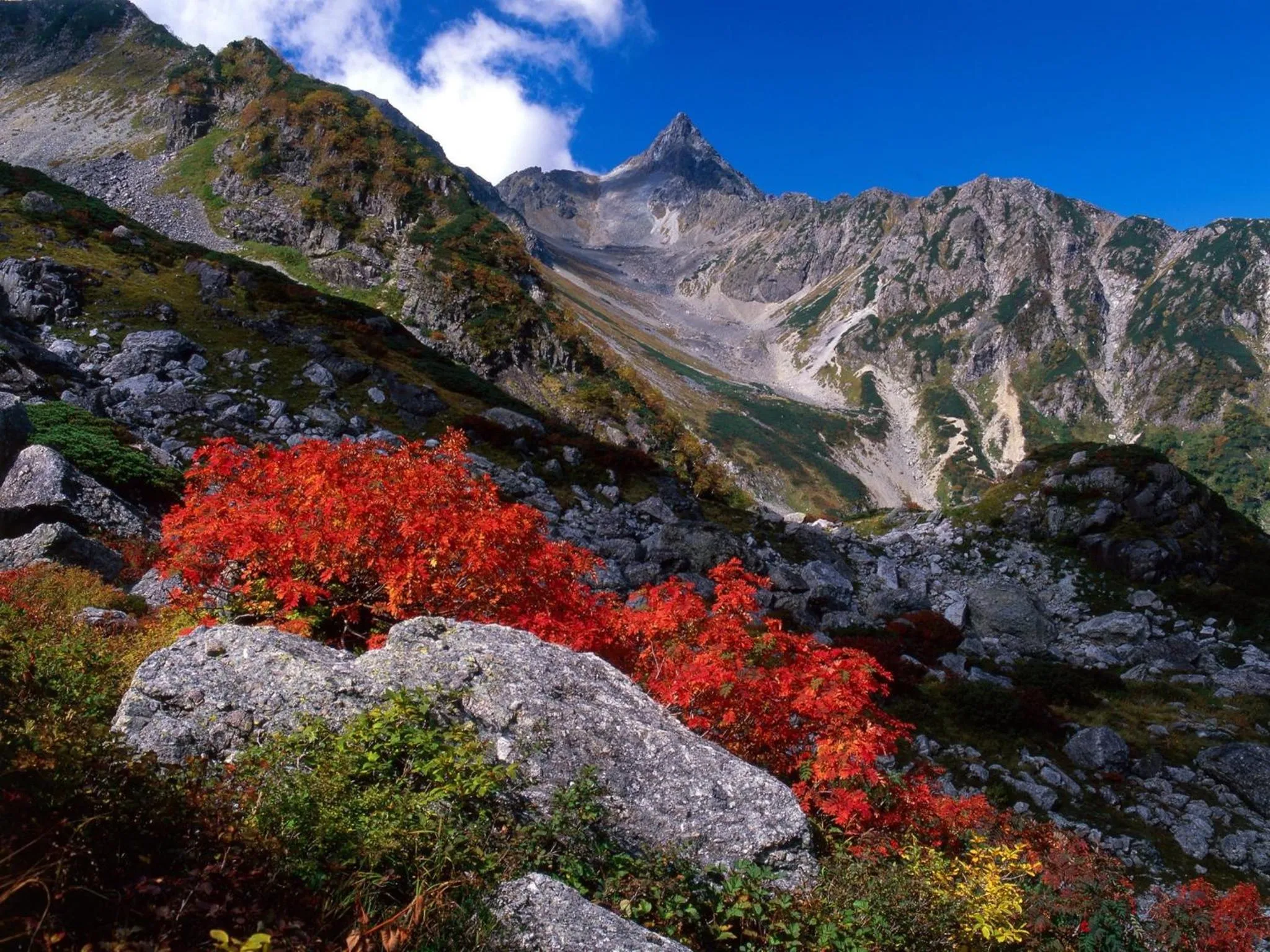 Area and facilities in Hotel Buena Vista