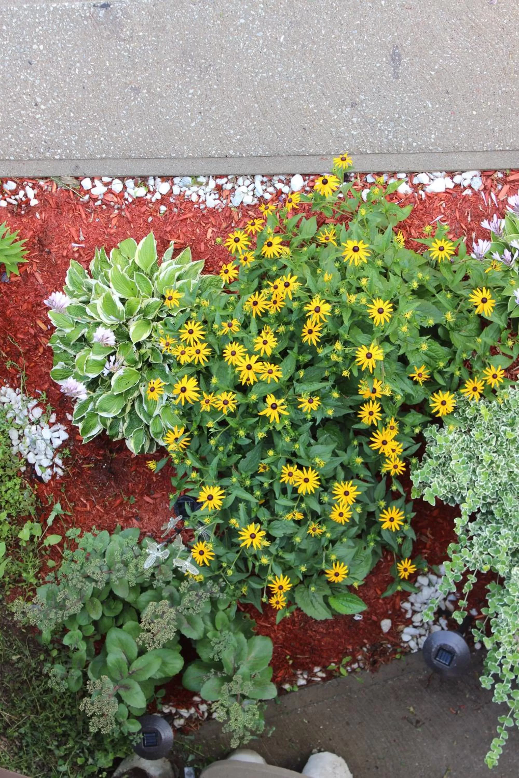 Other in Hawberry Motel