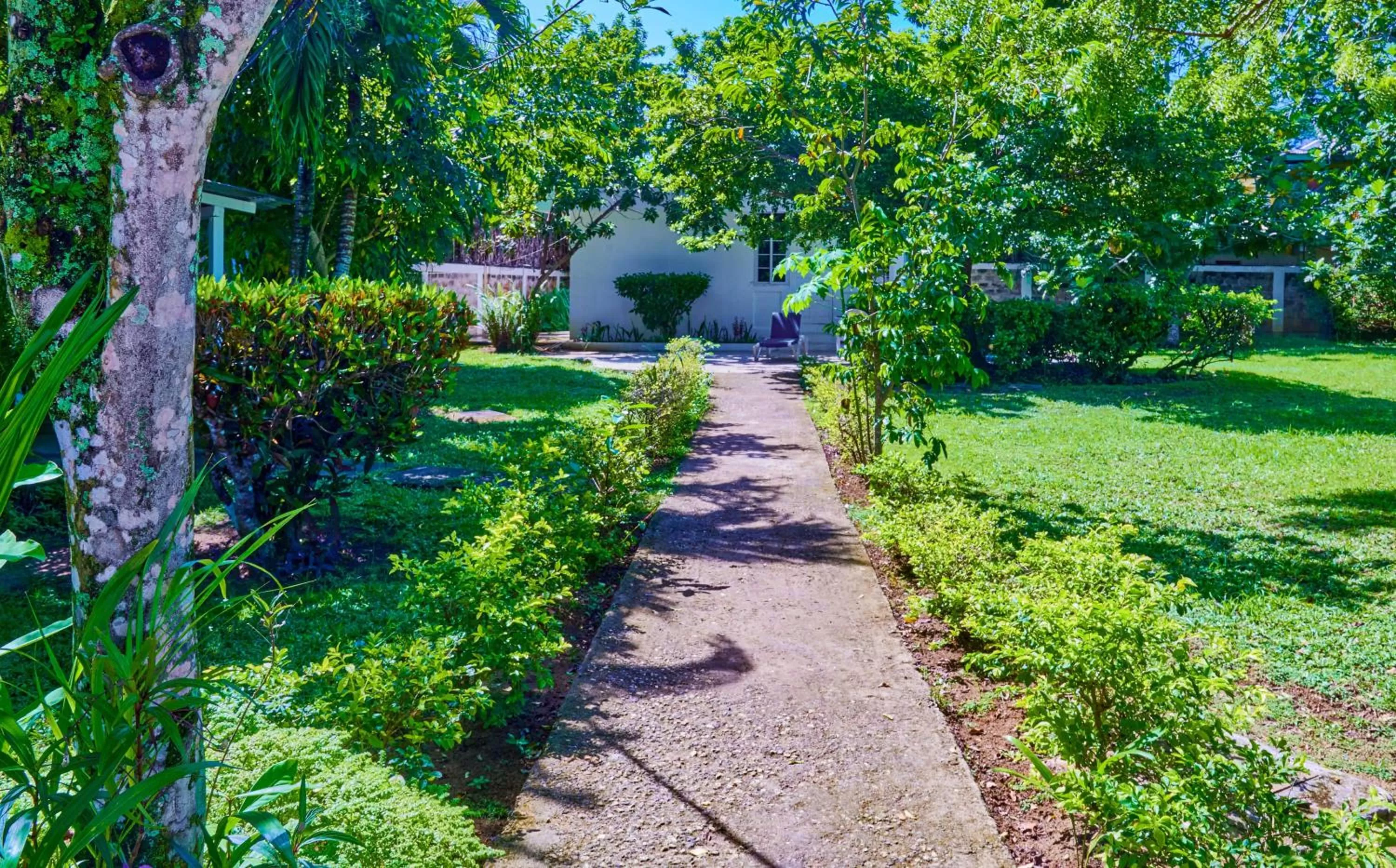 Garden in Yellow Bird Sea
