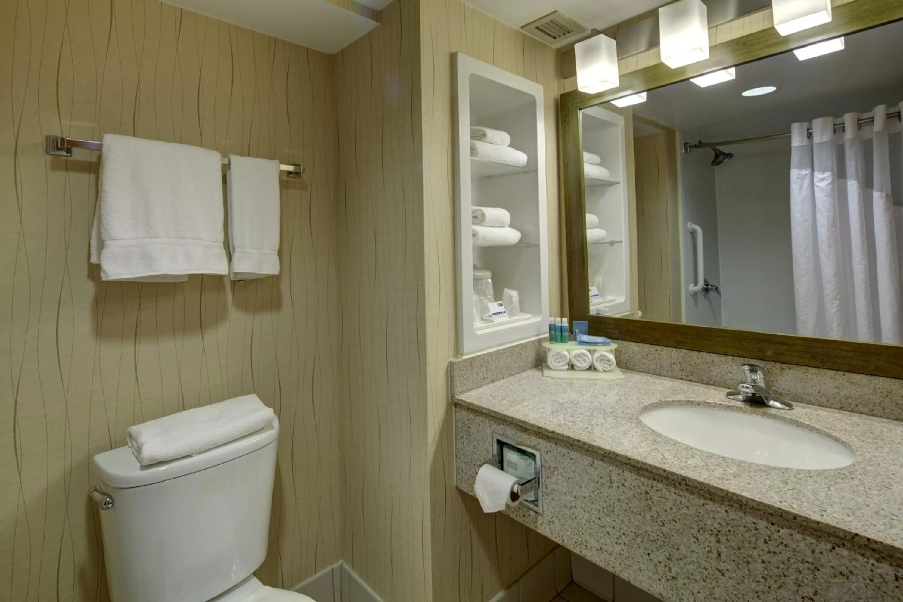 Bathroom in Holiday Inn Express Hotel & Suites Emporia by IHG