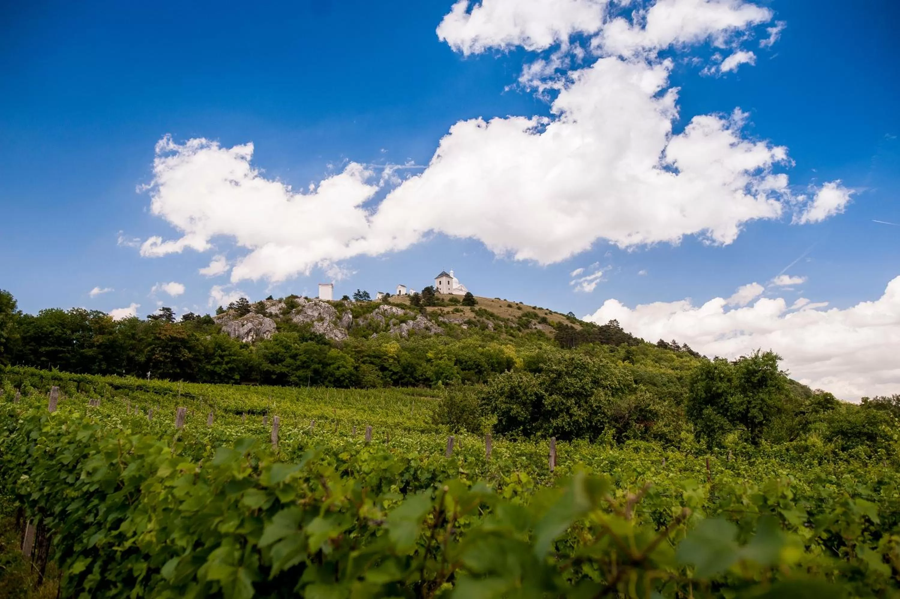 Off site, Natural Landscape in Boutique Hotel Golf Garni