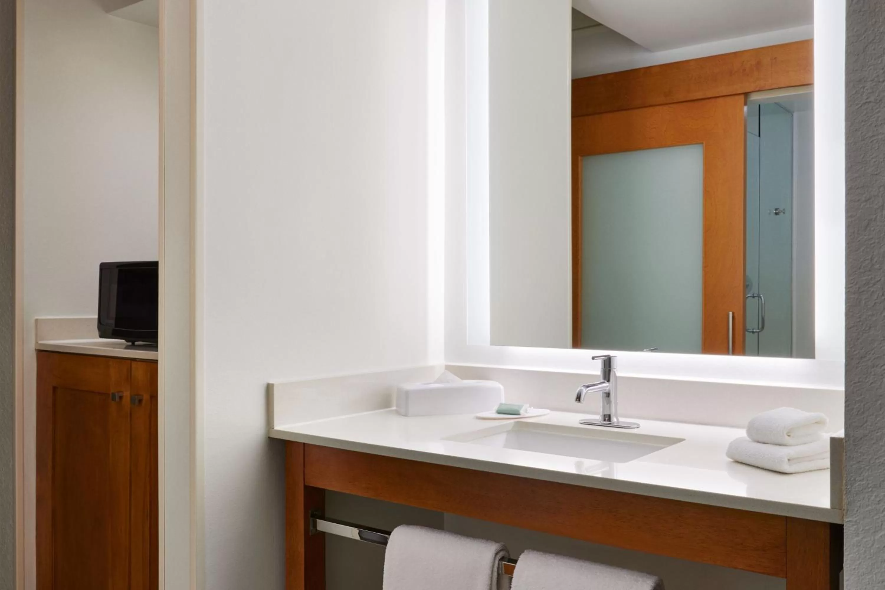 Bathroom in SpringHill Suites by Marriott San Antonio Downtown-Riverwalk Area
