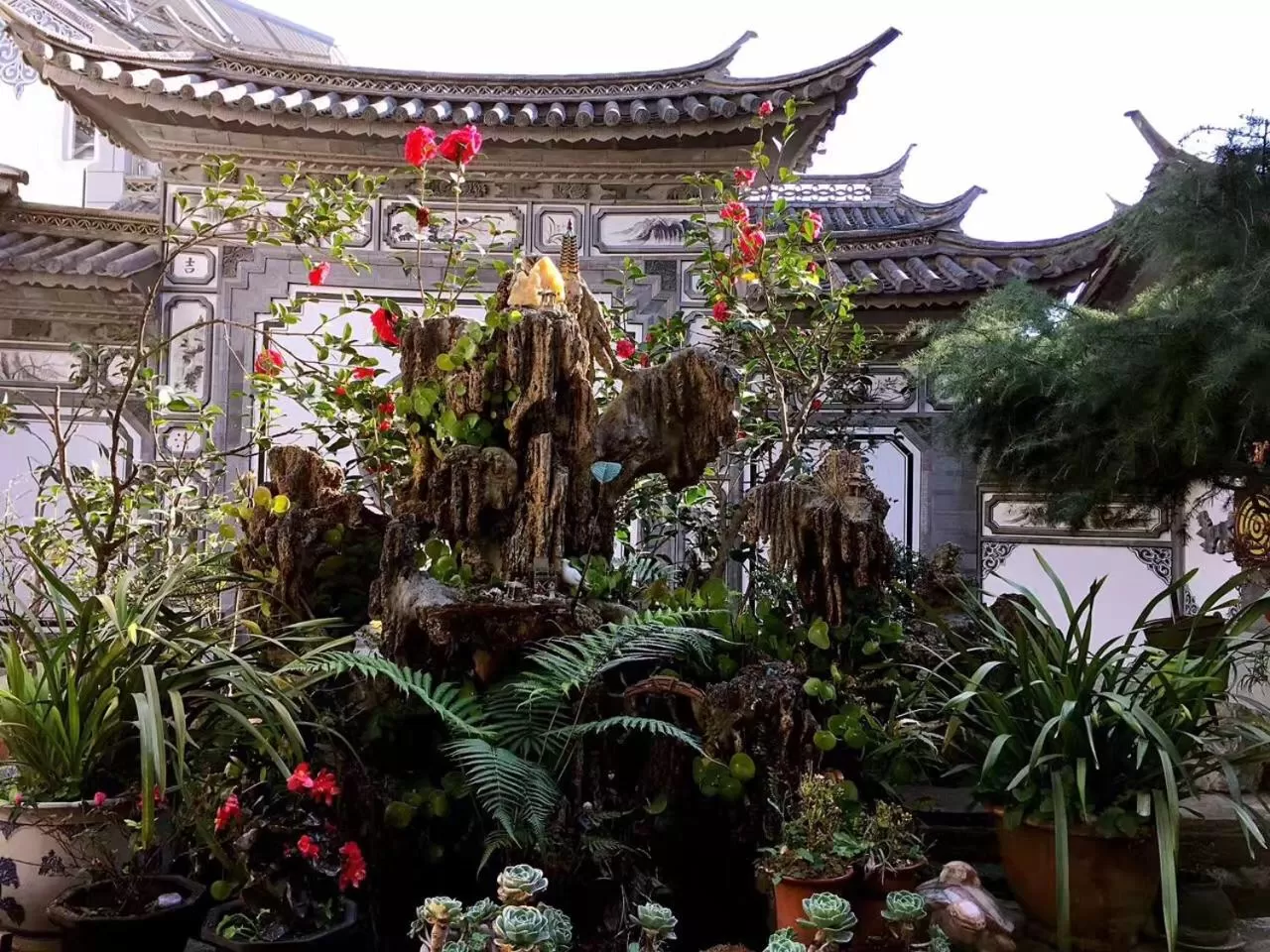 Garden view in The Lily Pad Inn