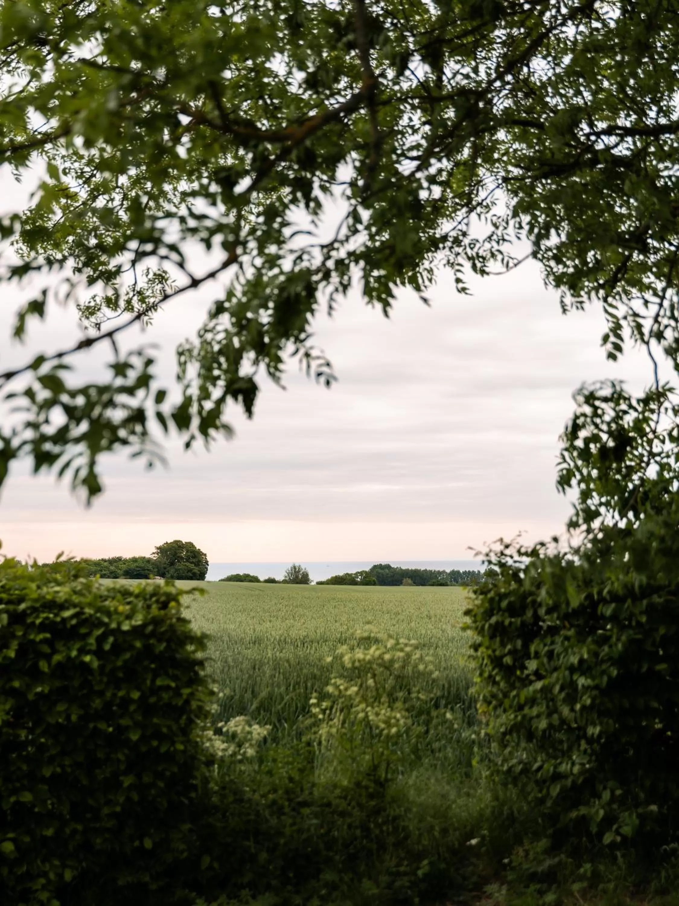 View (from property/room), Natural Landscape in Sköllengården