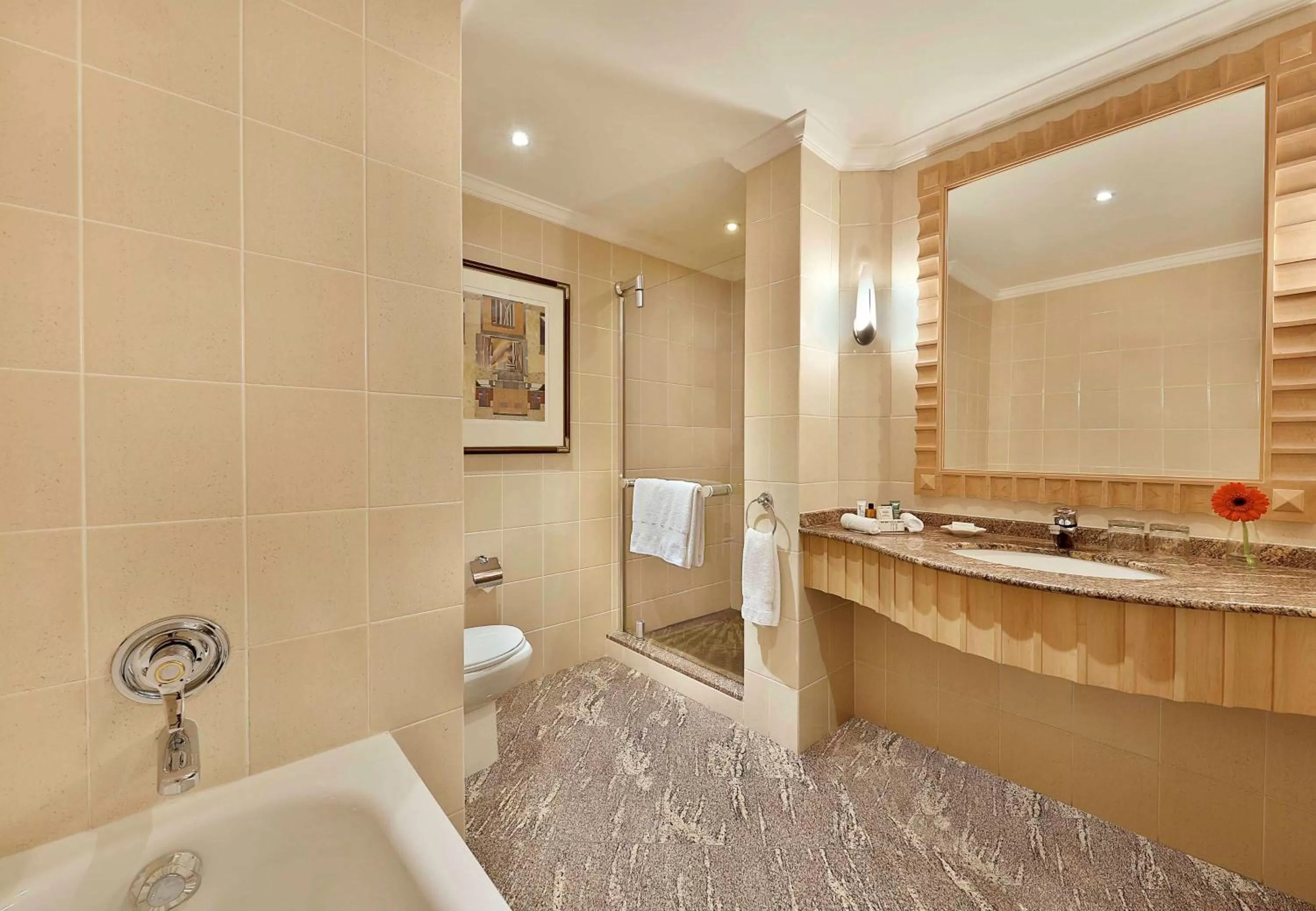 Bathroom in Hilton Sandton