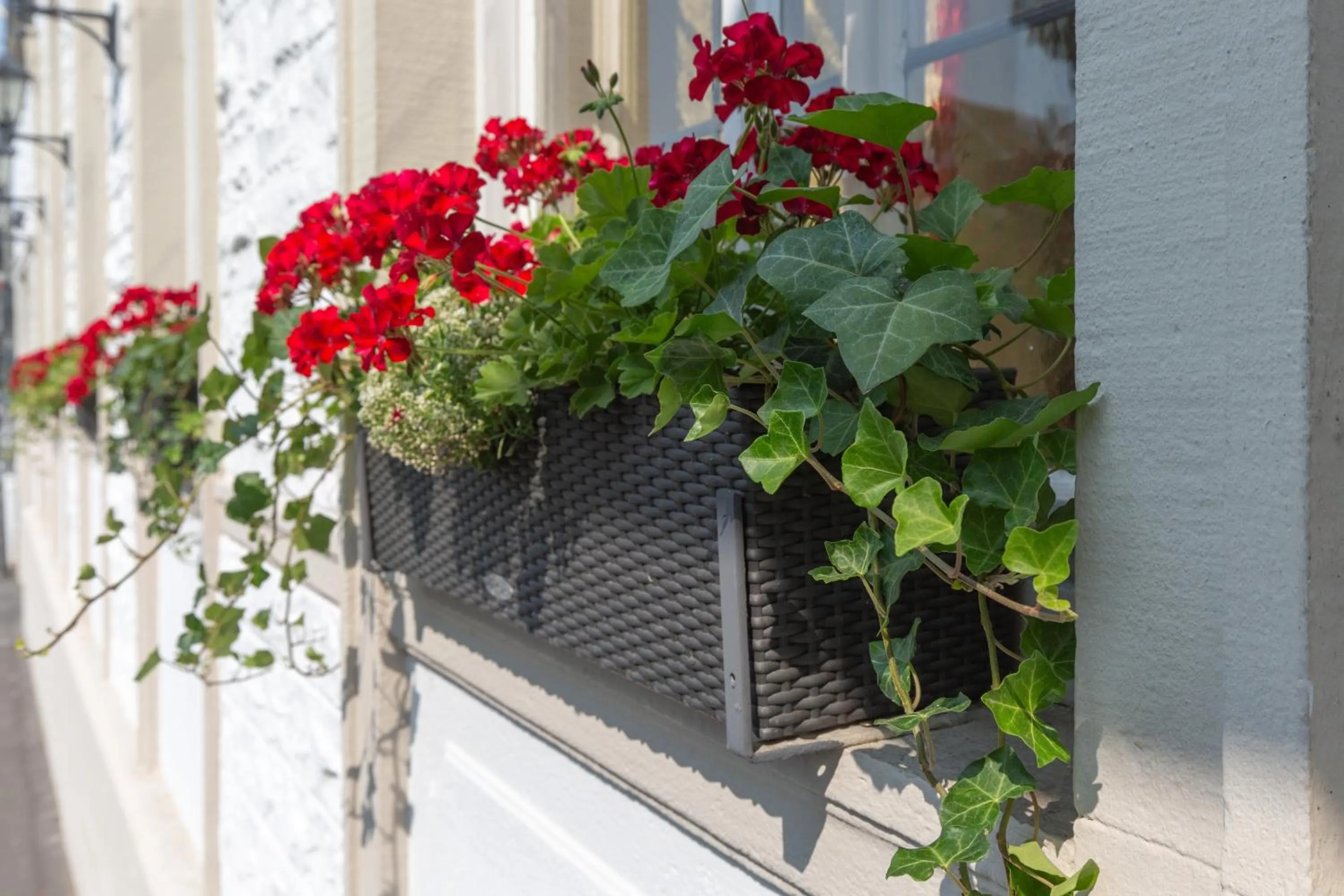 Property building in Hotel Residence