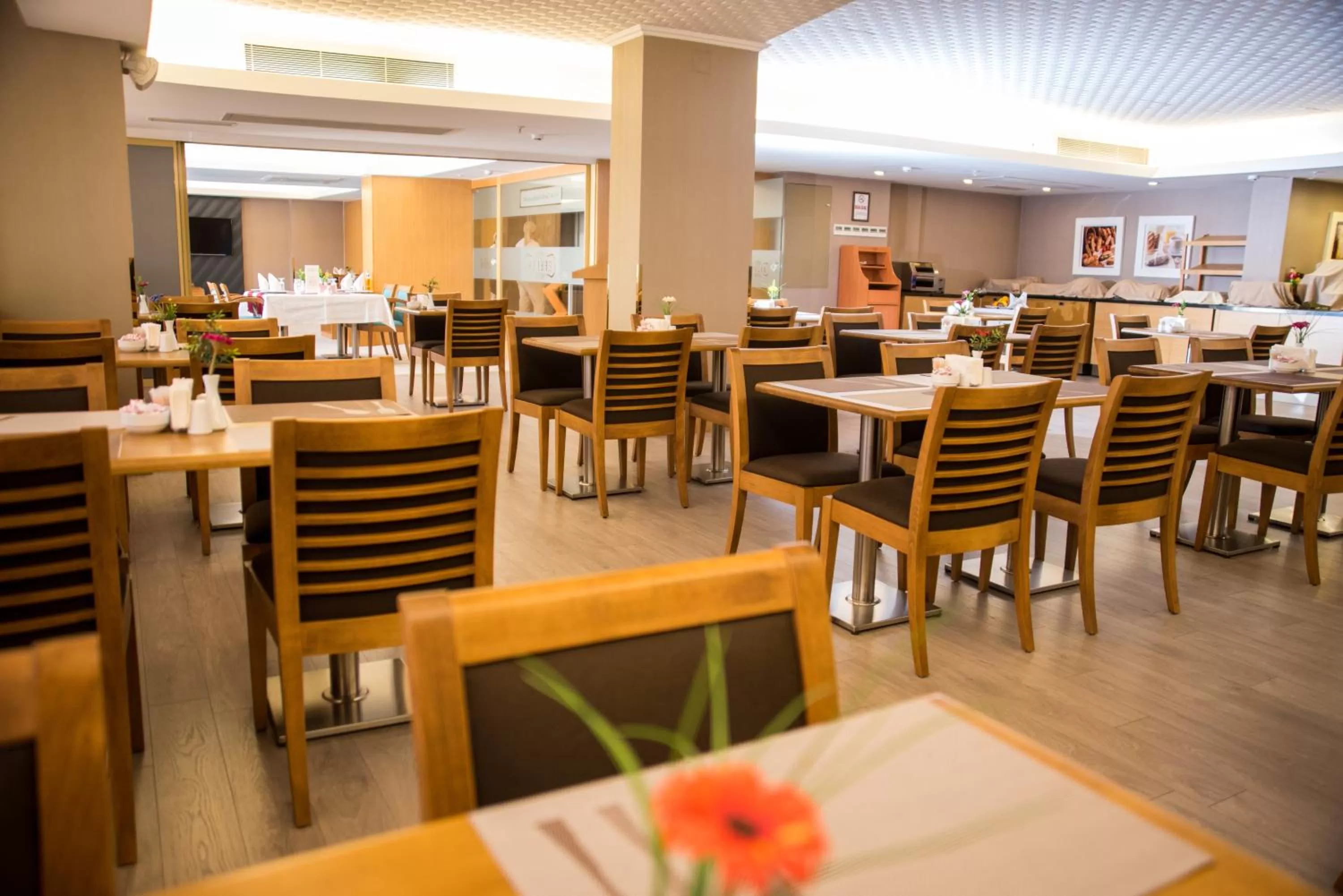 Restaurant/places to eat in Efeler Hotel