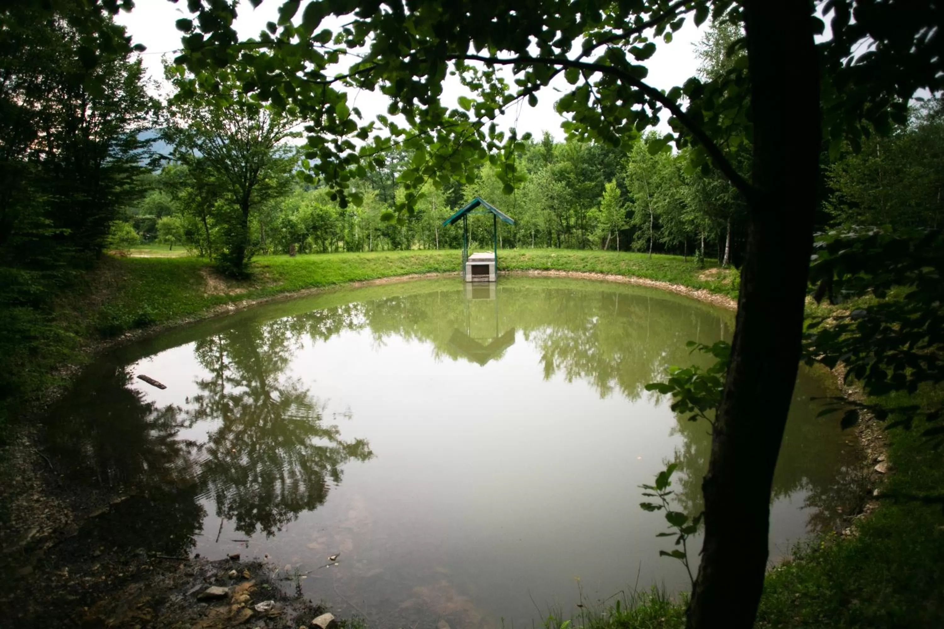 Swimming Pool in Tulipan Hotel Aquapark