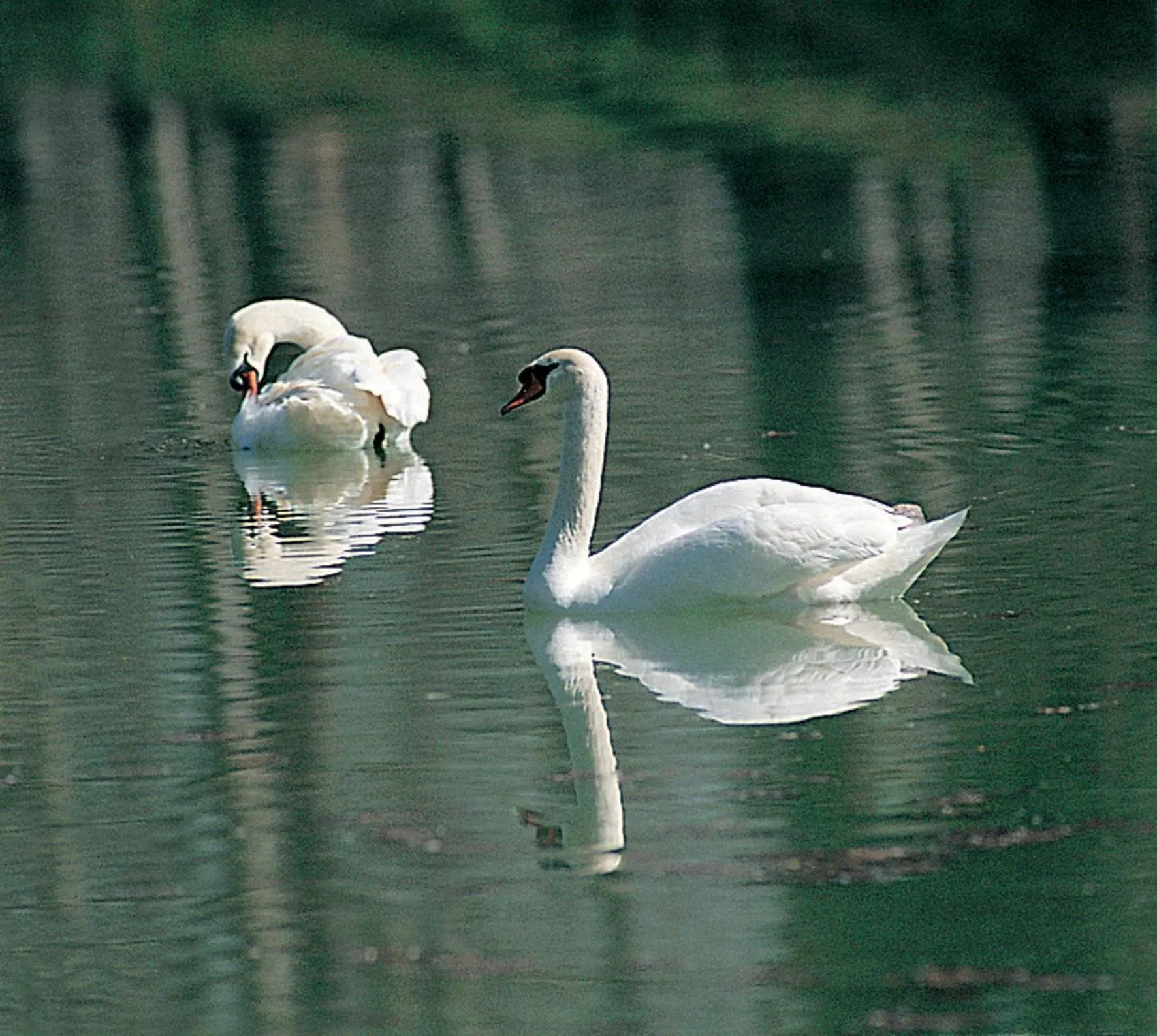 Other in Relais Todini - Residenza d'epoca - Luxury Historic house