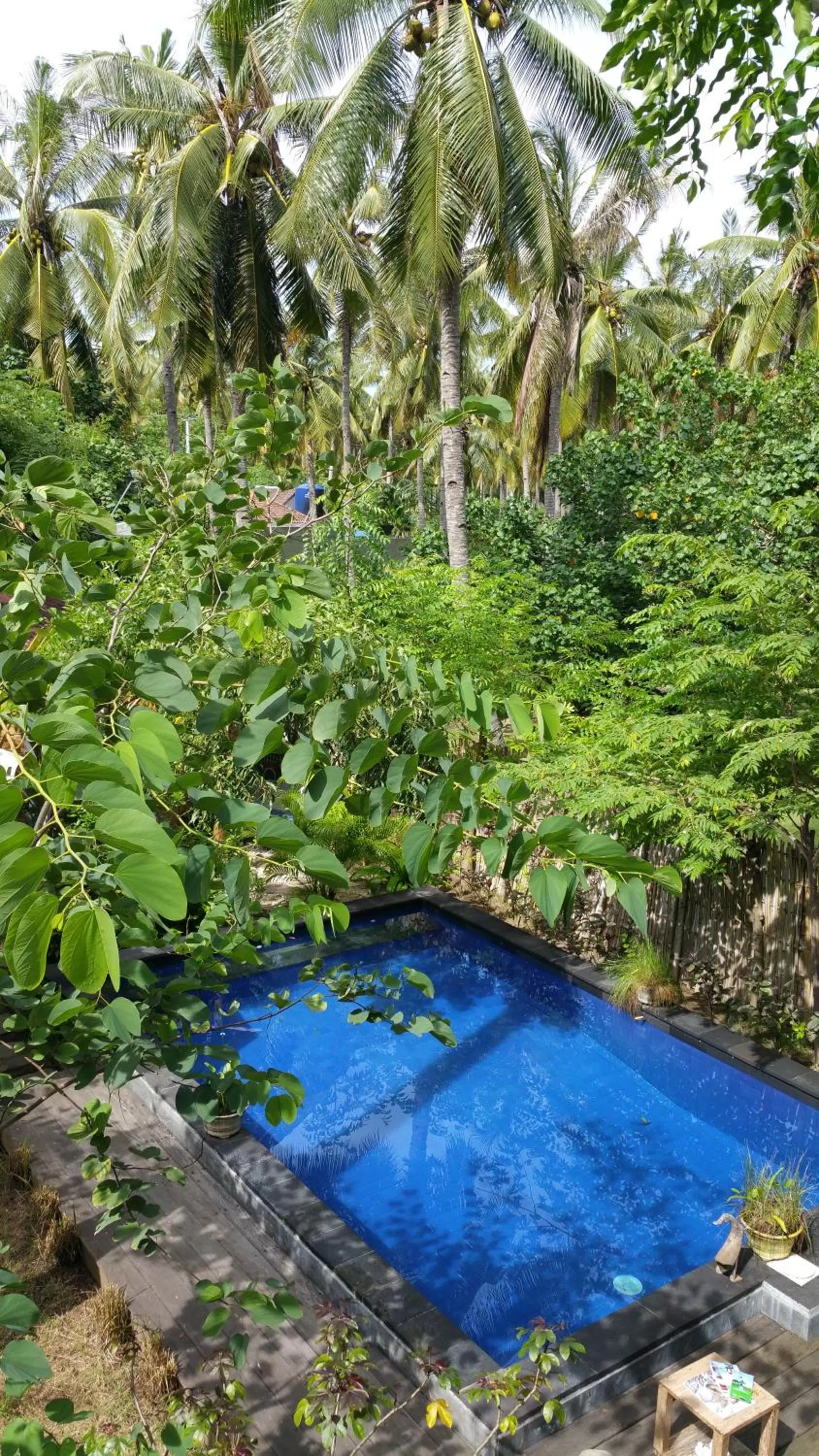 Garden in Villas Light House - Eco-Traditional Joglo