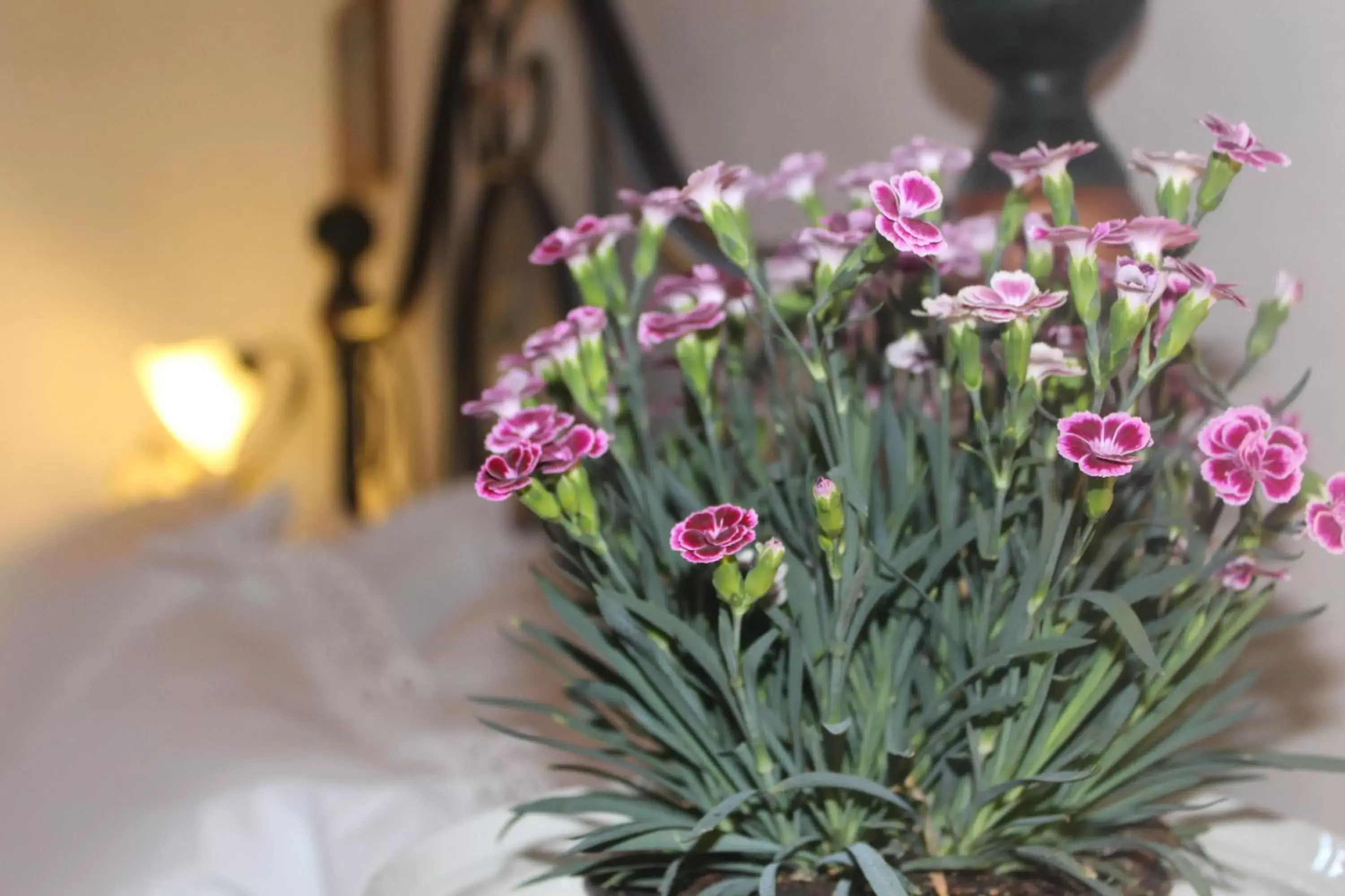 Classic Double Room with Shower in Masseria Tolla Classic Double Room with Shower in Masseria Tolla