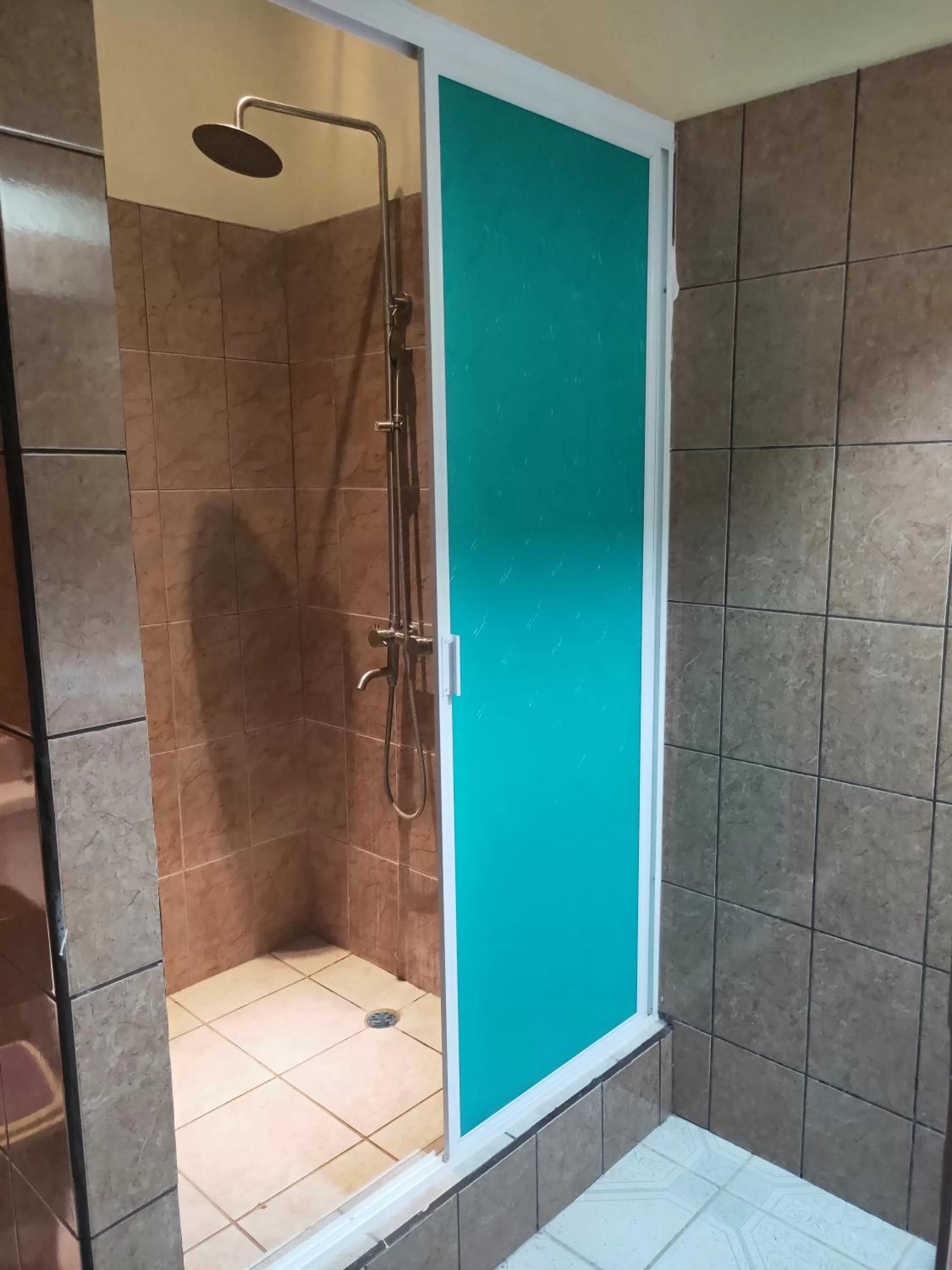 Shower, Bathroom in Sunshine View Hotel and Restaurant