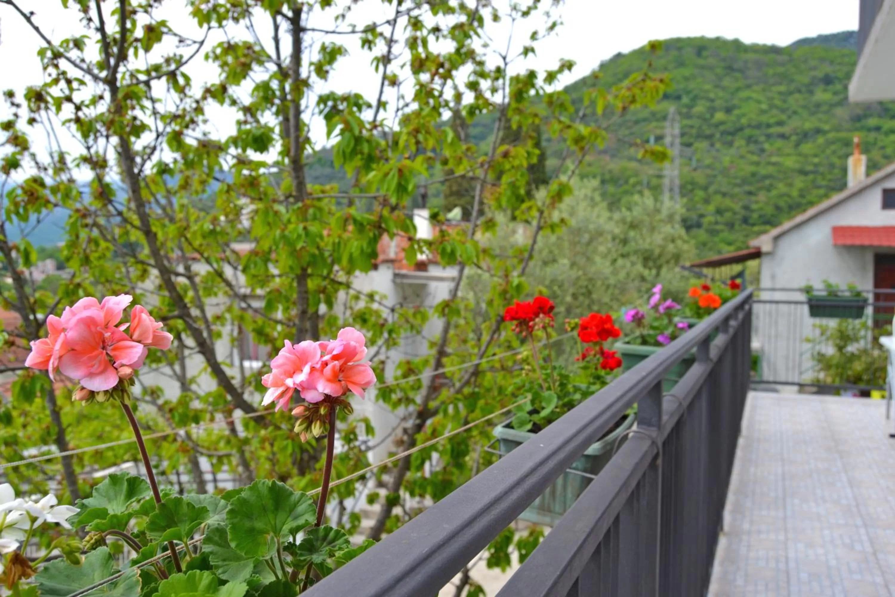 Property building in Tivat Apartments