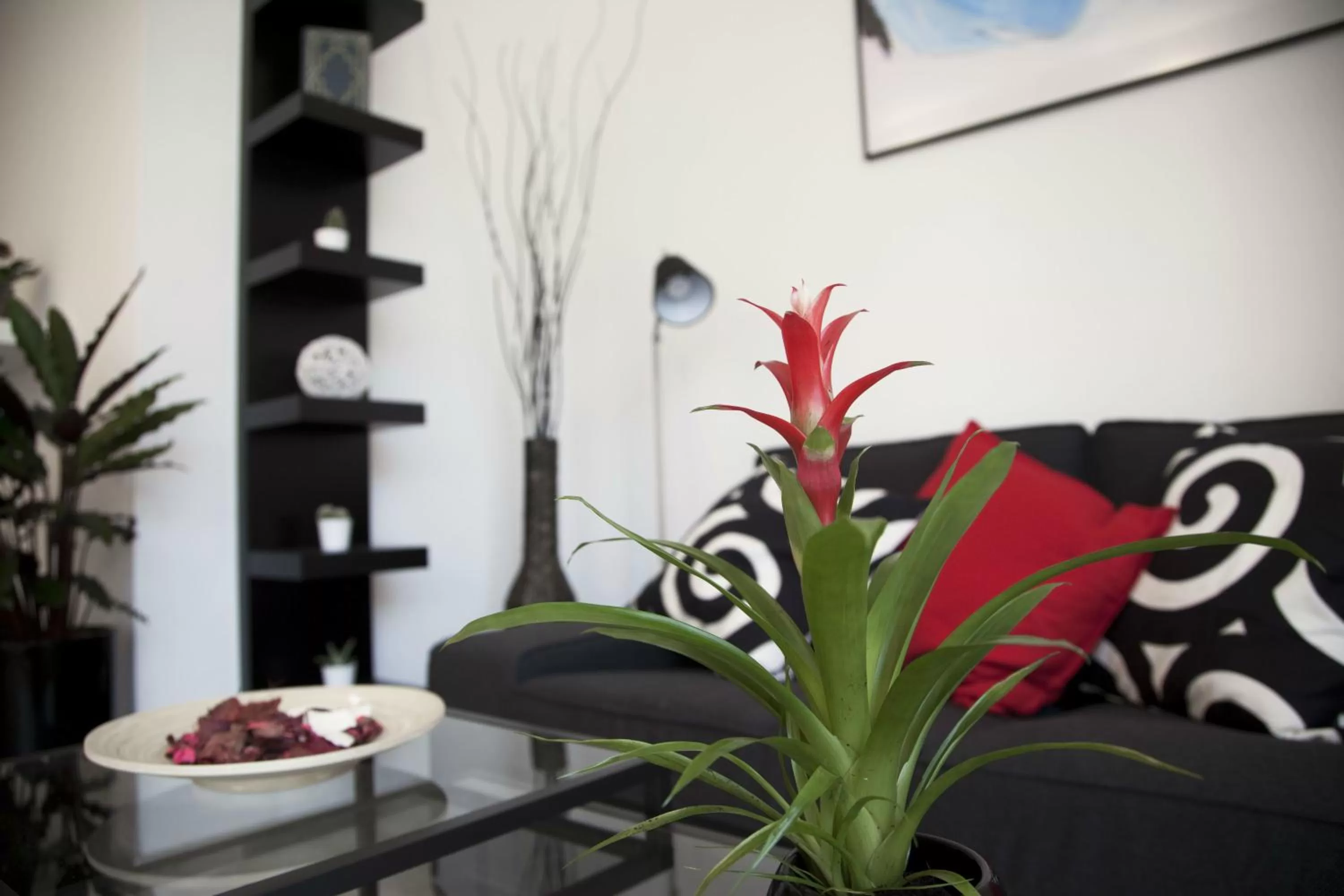 Living room in B&B Ca' Nobil