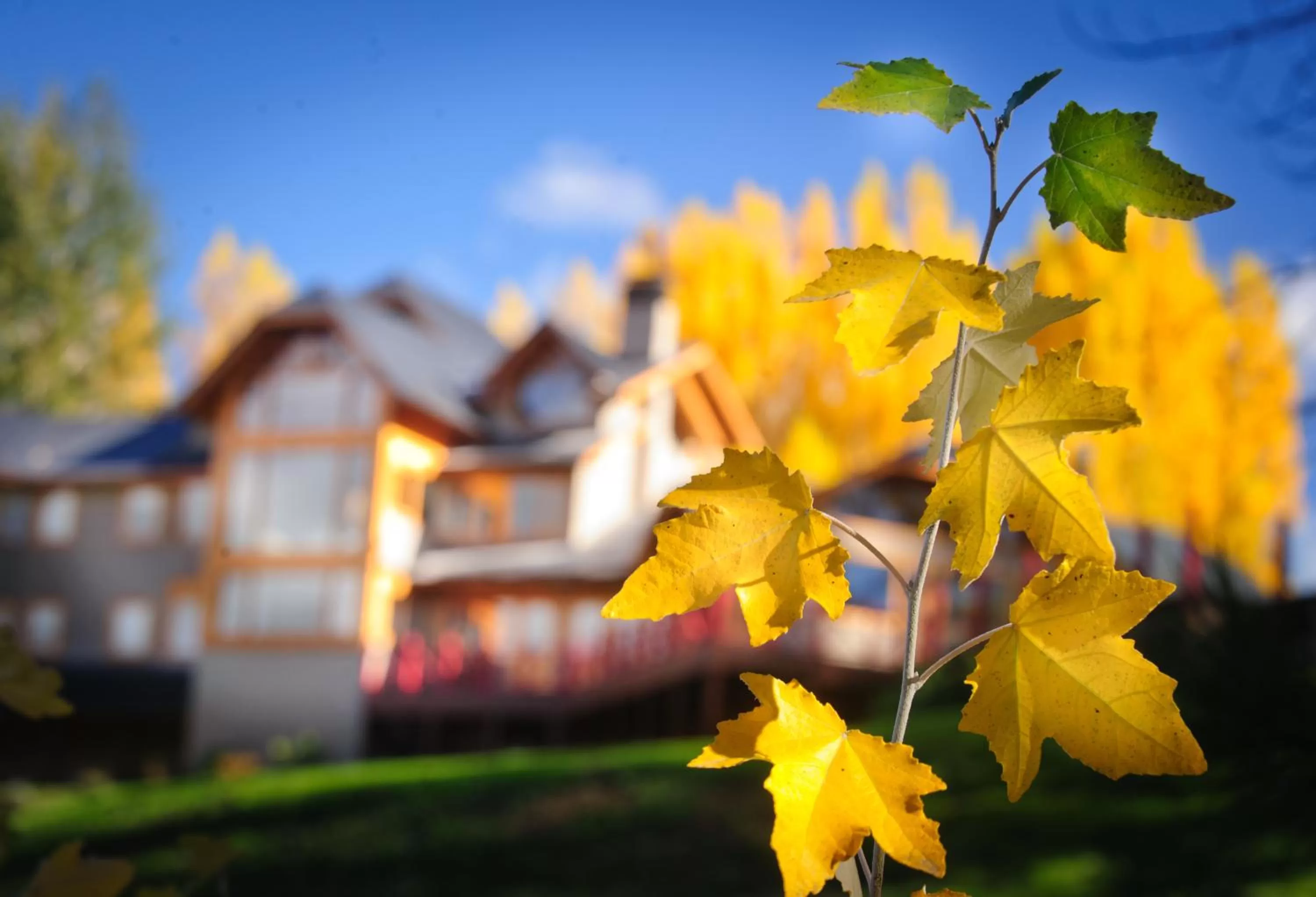 Spring, Property Building in Casona Del Alto