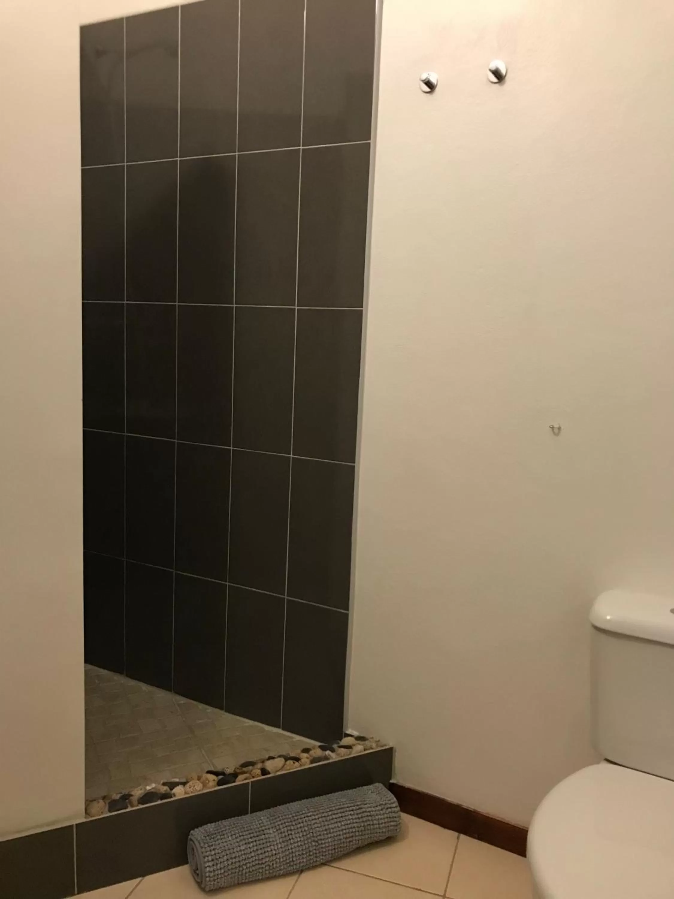 Bathroom in Blue eagle