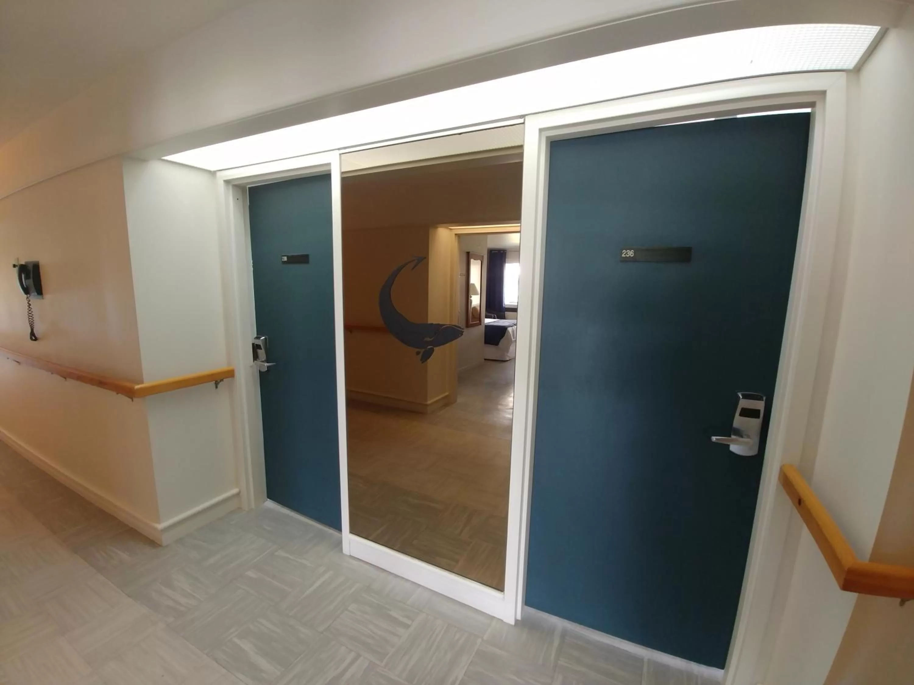 La Baleine Endiablée Microbrasserie