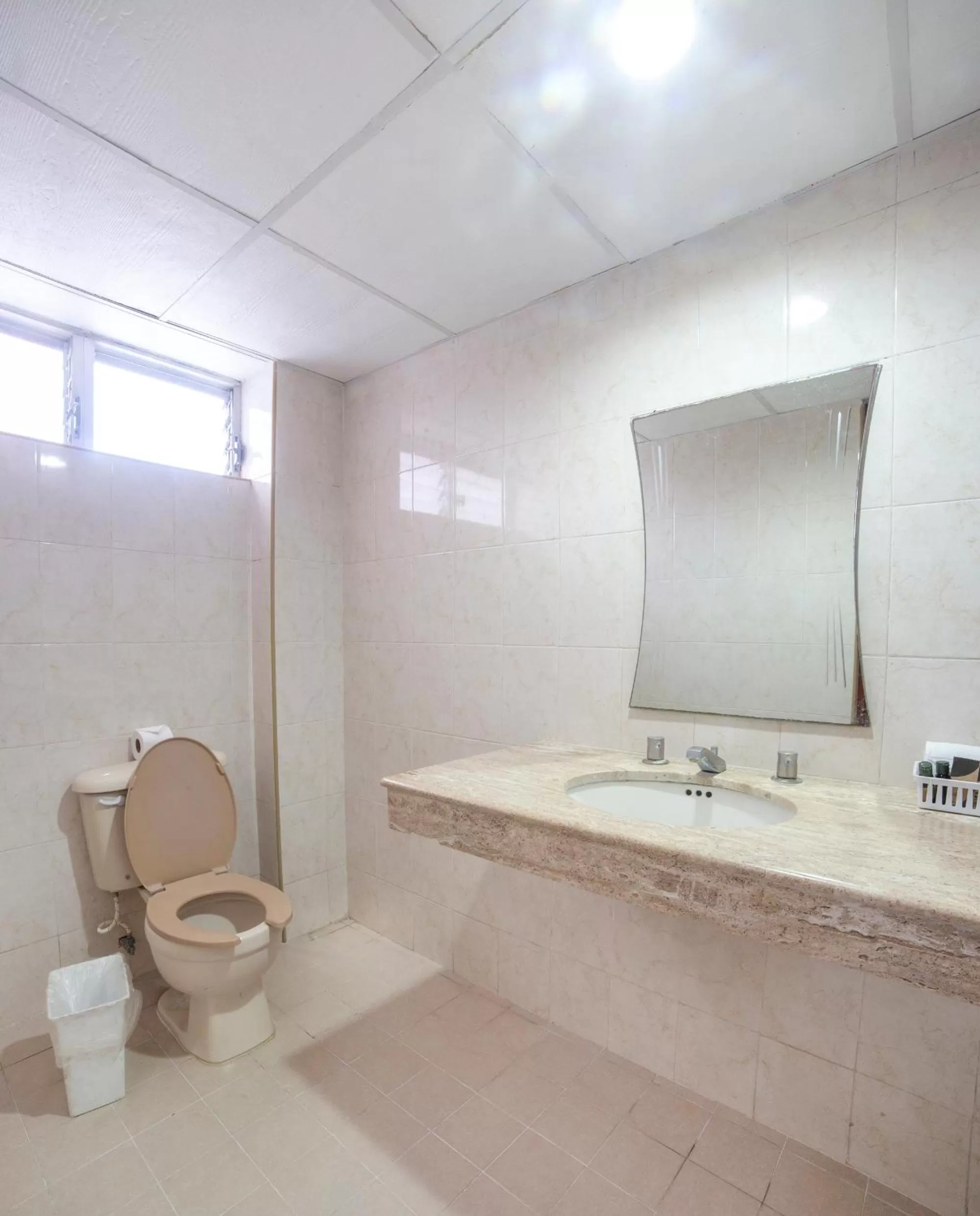 Toilet in Caribe Princess
