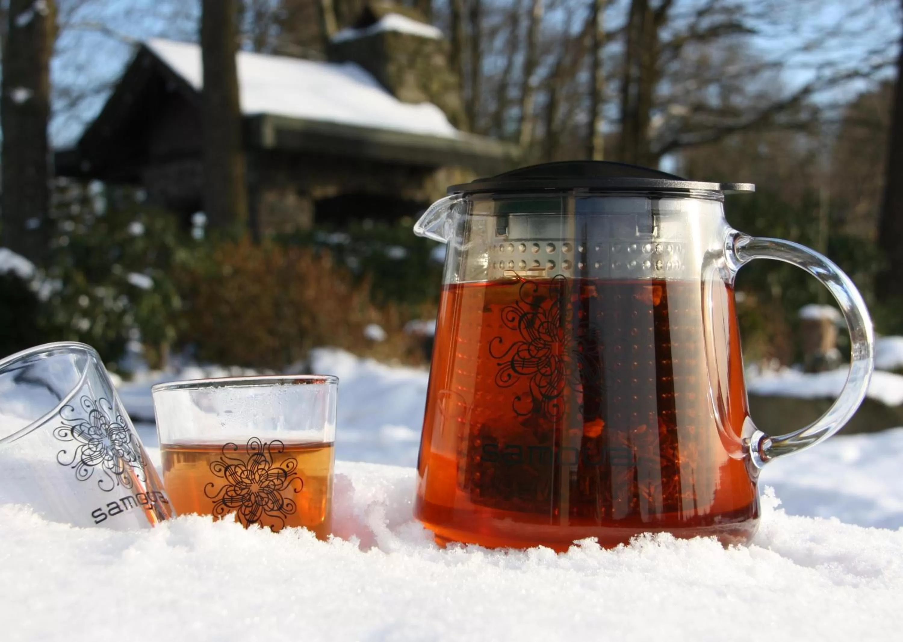 Winter in Hotel-Restaurant Haus Berkenbaum