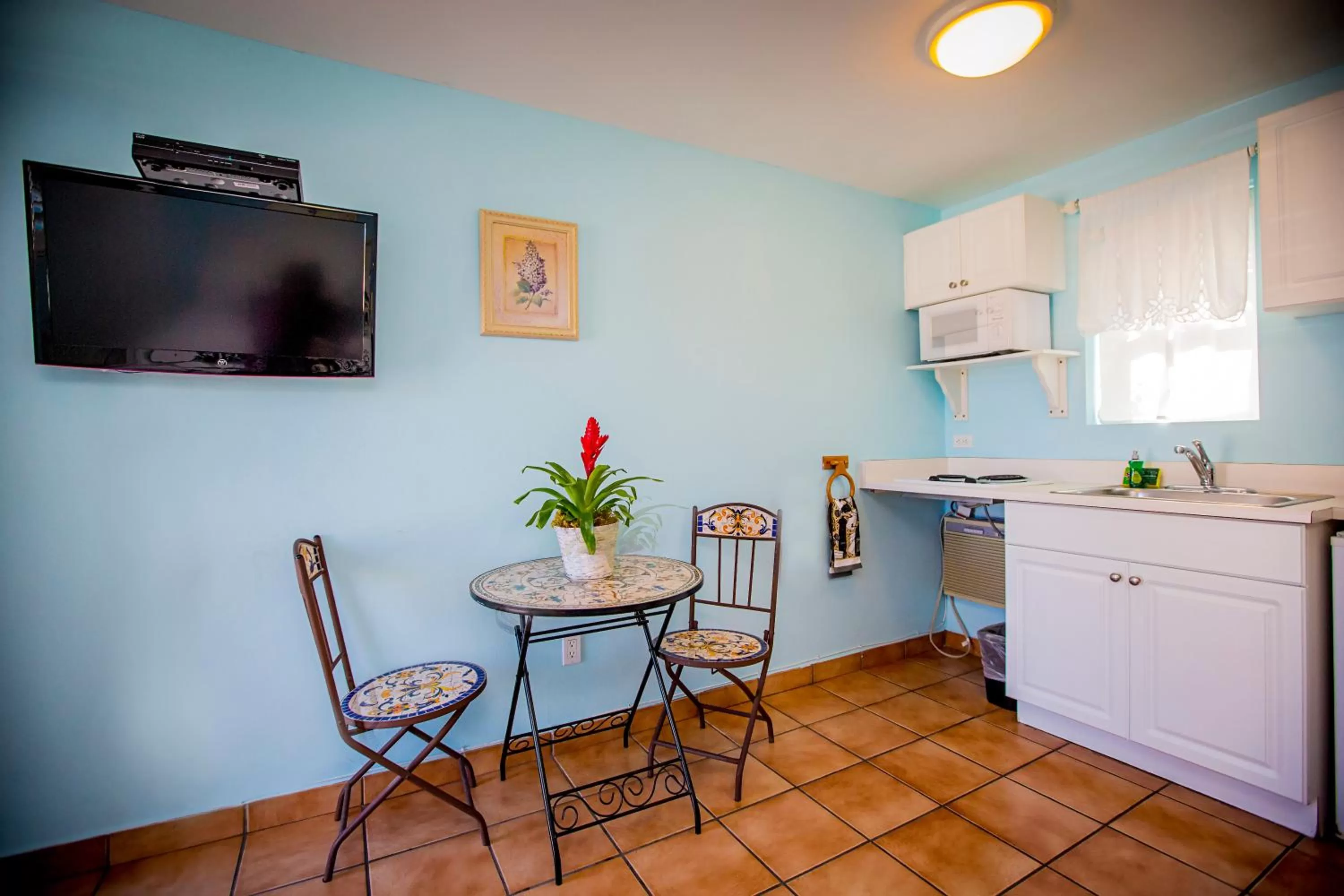 BBQ facilities in Leucadia Beach Inn
